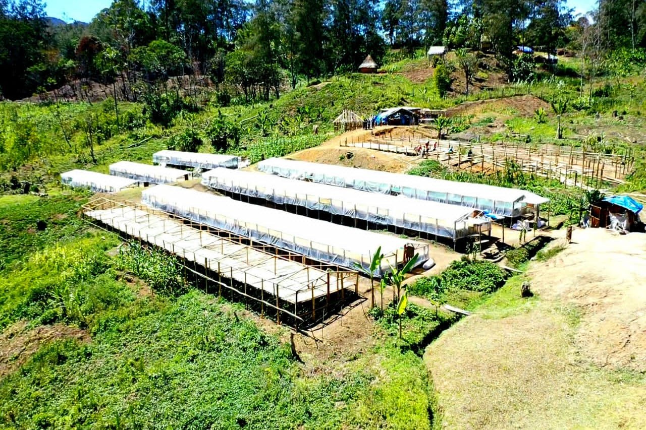 Kinmuga Image 5.jpg