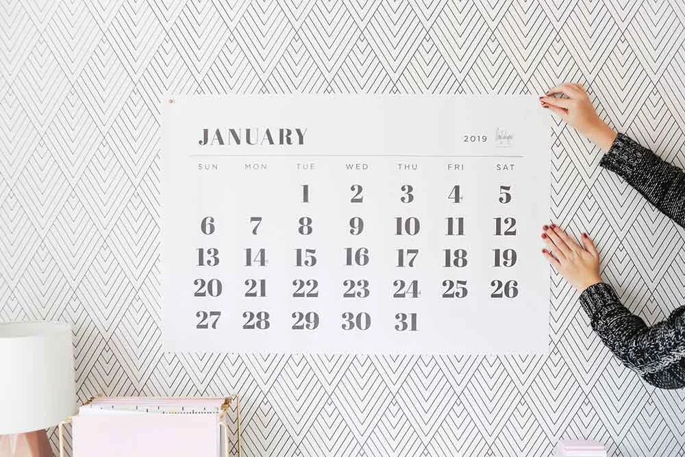 2019 Large Wall Calendar (Decorative)