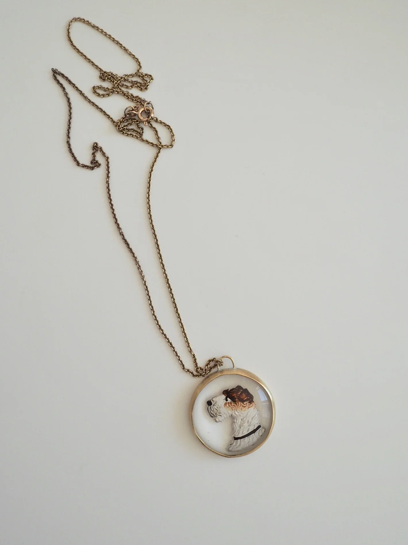 dog jewellery.jpeg
