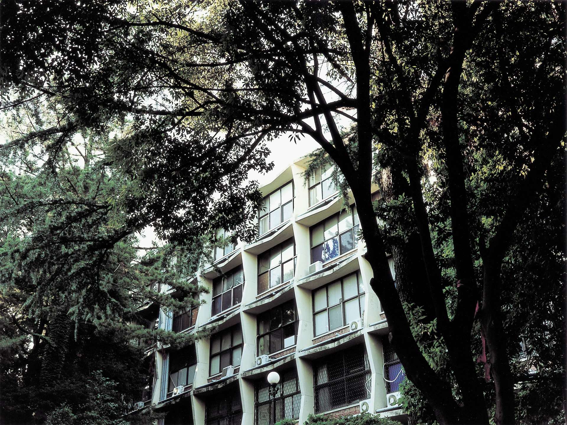 Vestige : 108bu c-print, framed 45 x 60cm, 2007