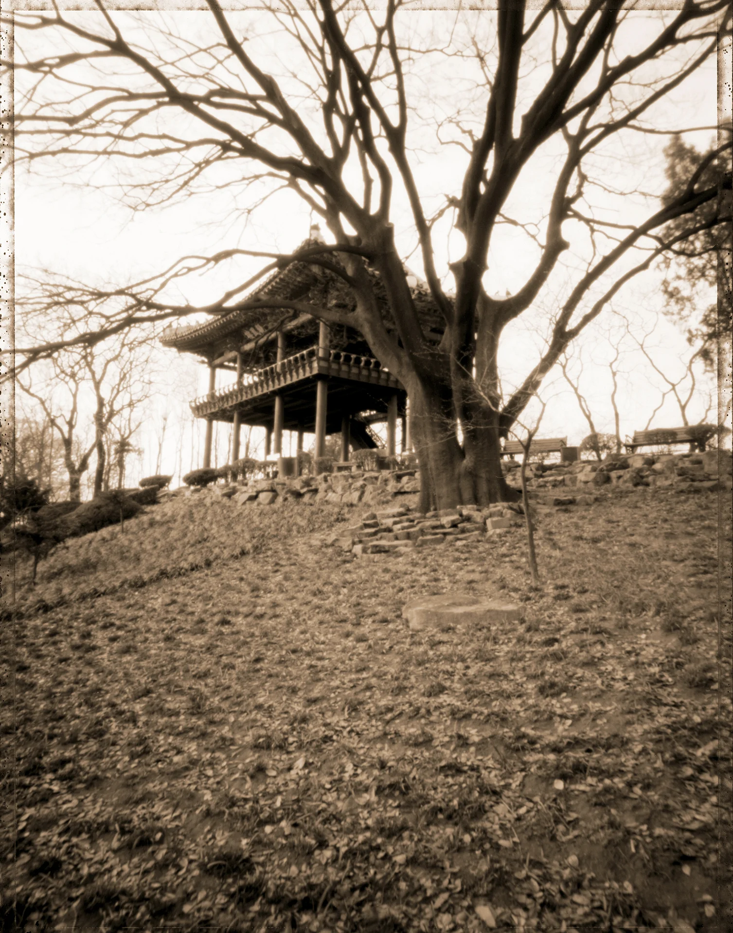 End of Time : ds 06 pigment print, framed 70 x 55cm, 2003