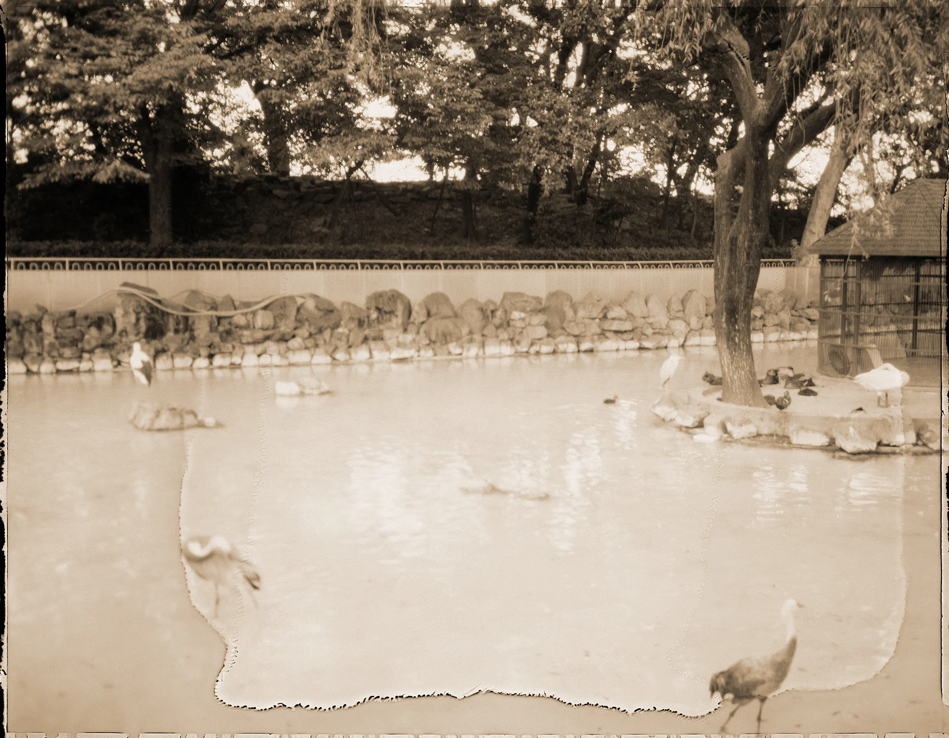End of Time : ds 13 pigment print, framed 47 x 60cm, 2003