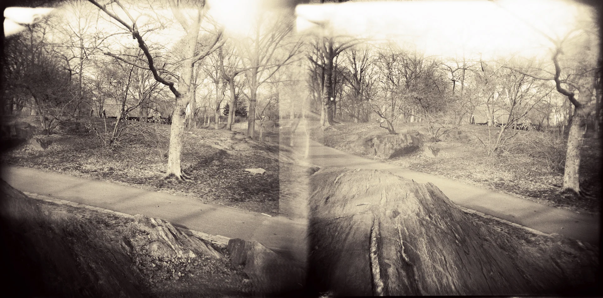 Landscape of Memory : lom 048 bleached silver print, framed 24 x 12cm, 1999