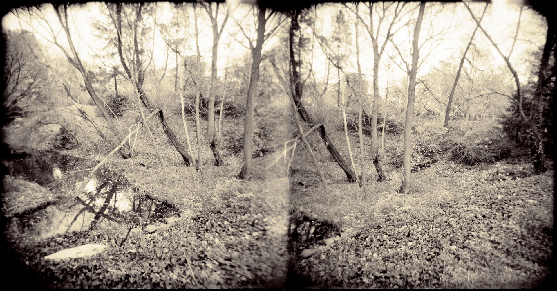 Landscape of Memory : lom 054 bleached silver print, framed 23 x 12cm, 1999