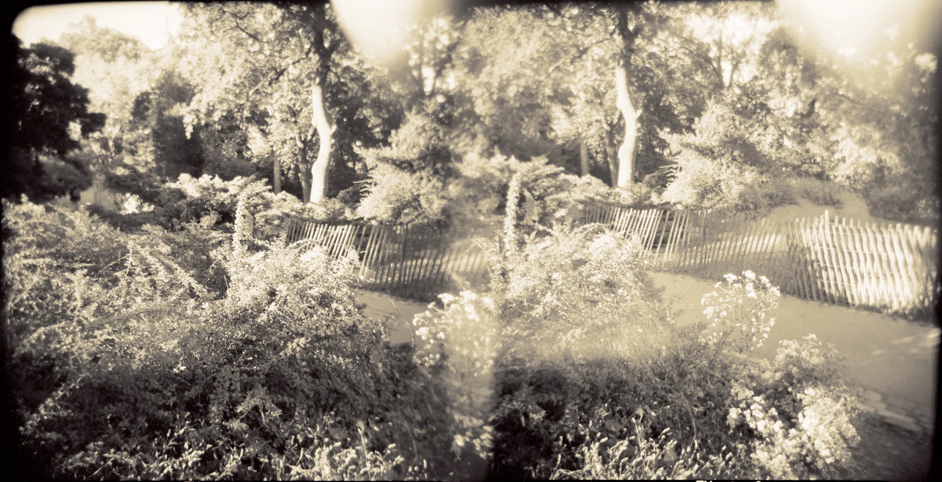 Landscape of Memory : lom 060 bleached silver print, framed 23 x 12cm, 1997