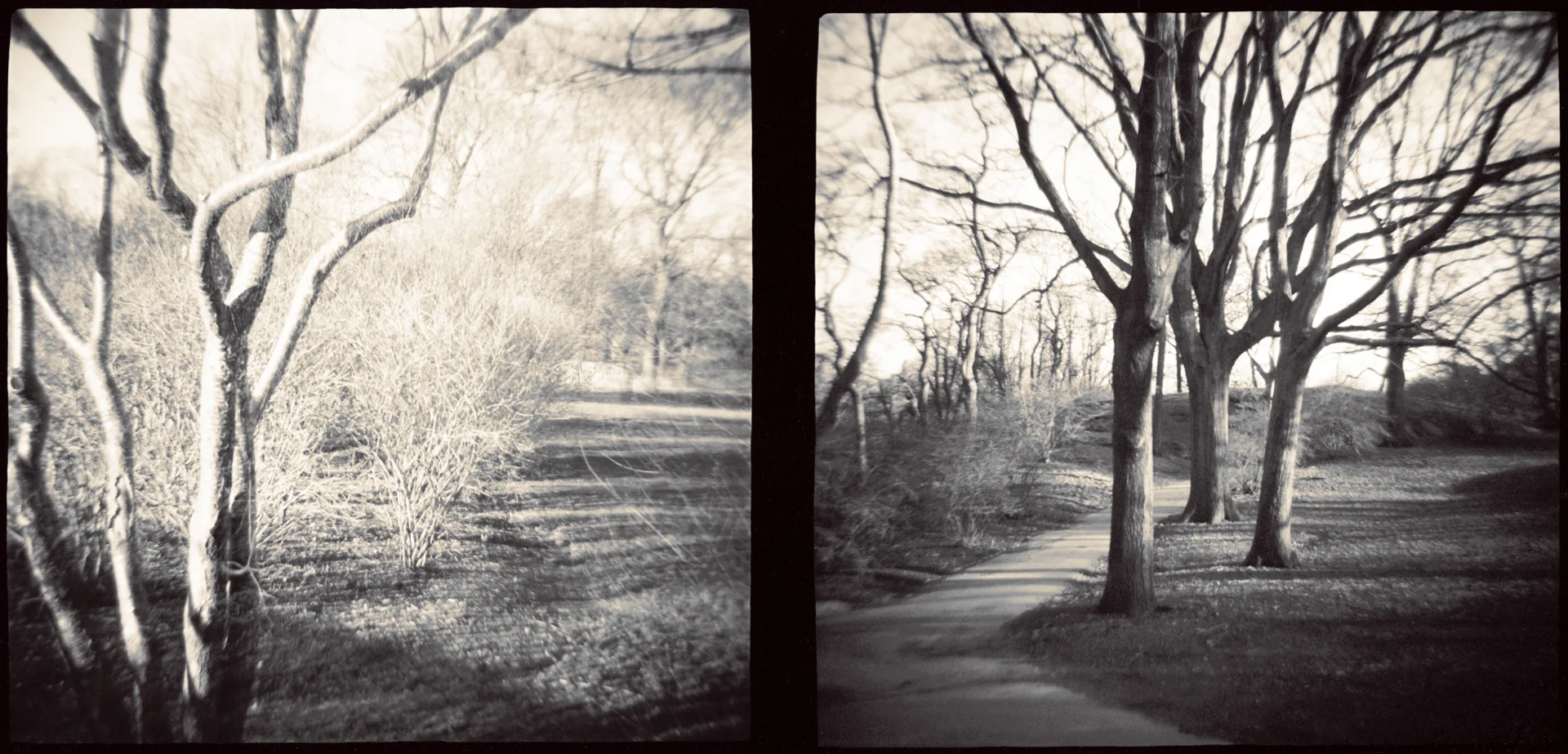 Landscape of Memory : lom 040 toned silver print, framed 29 x 14cm, 1997