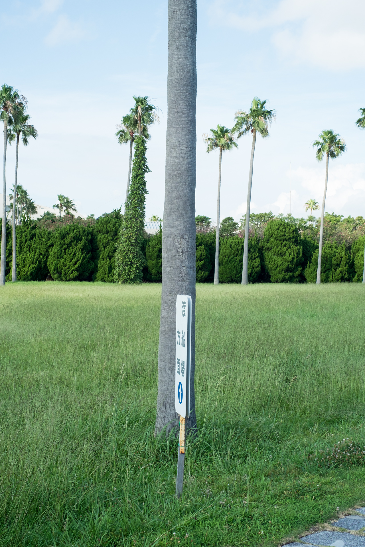   Imaginary Day : Hukuoka 047   pigment print, framed  60 x 40cm, 2013     