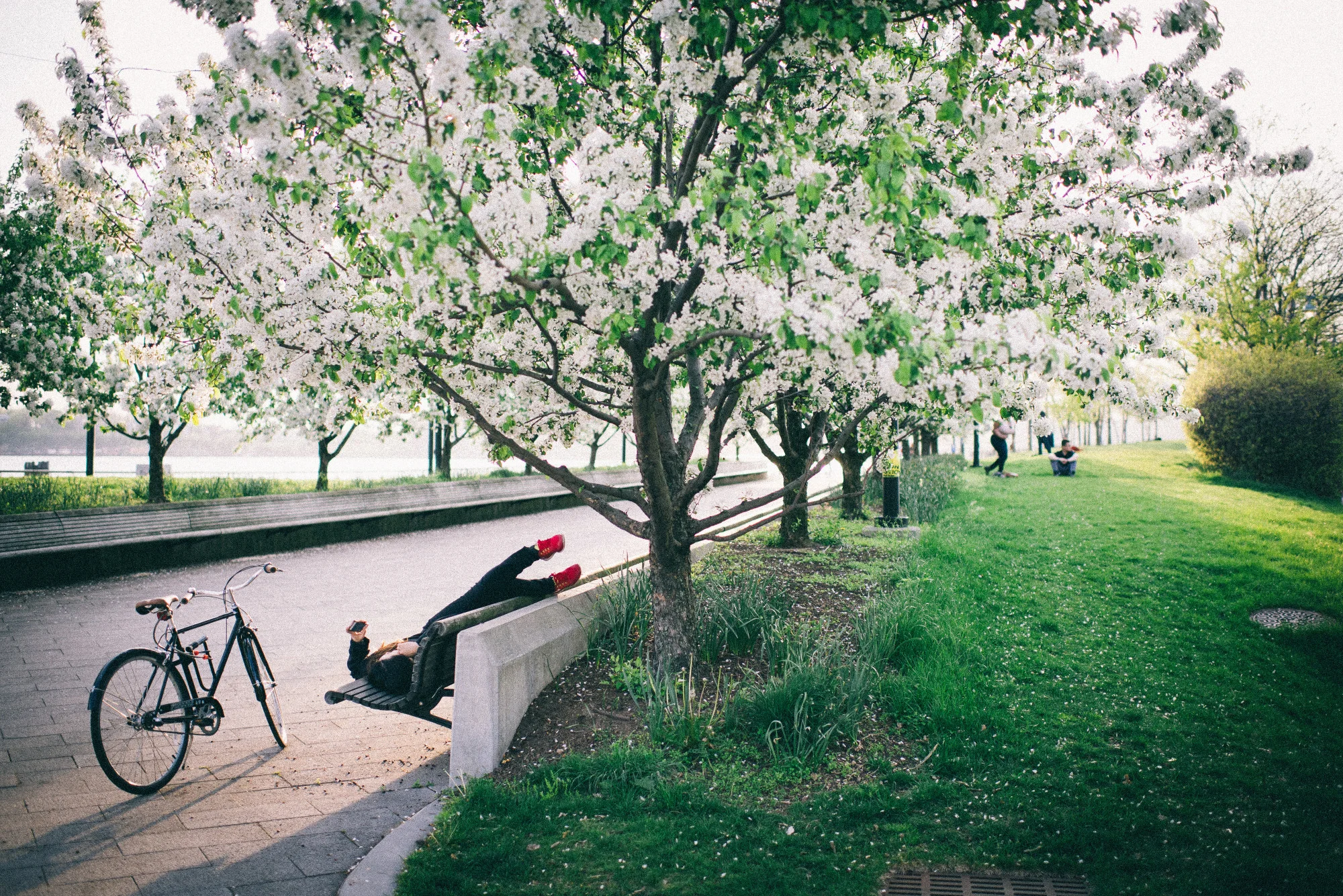 taking-a-break-on-a-park-bench_t20_AeAAxW.jpg
