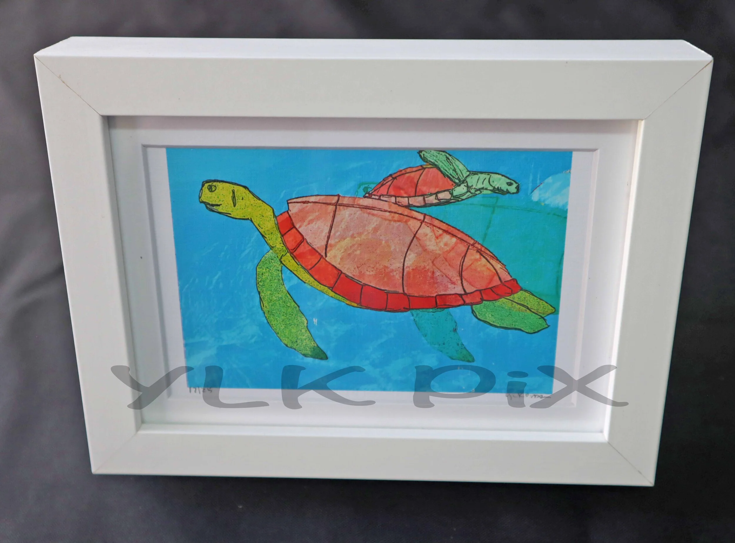 seaturtlesboxframe.JPG