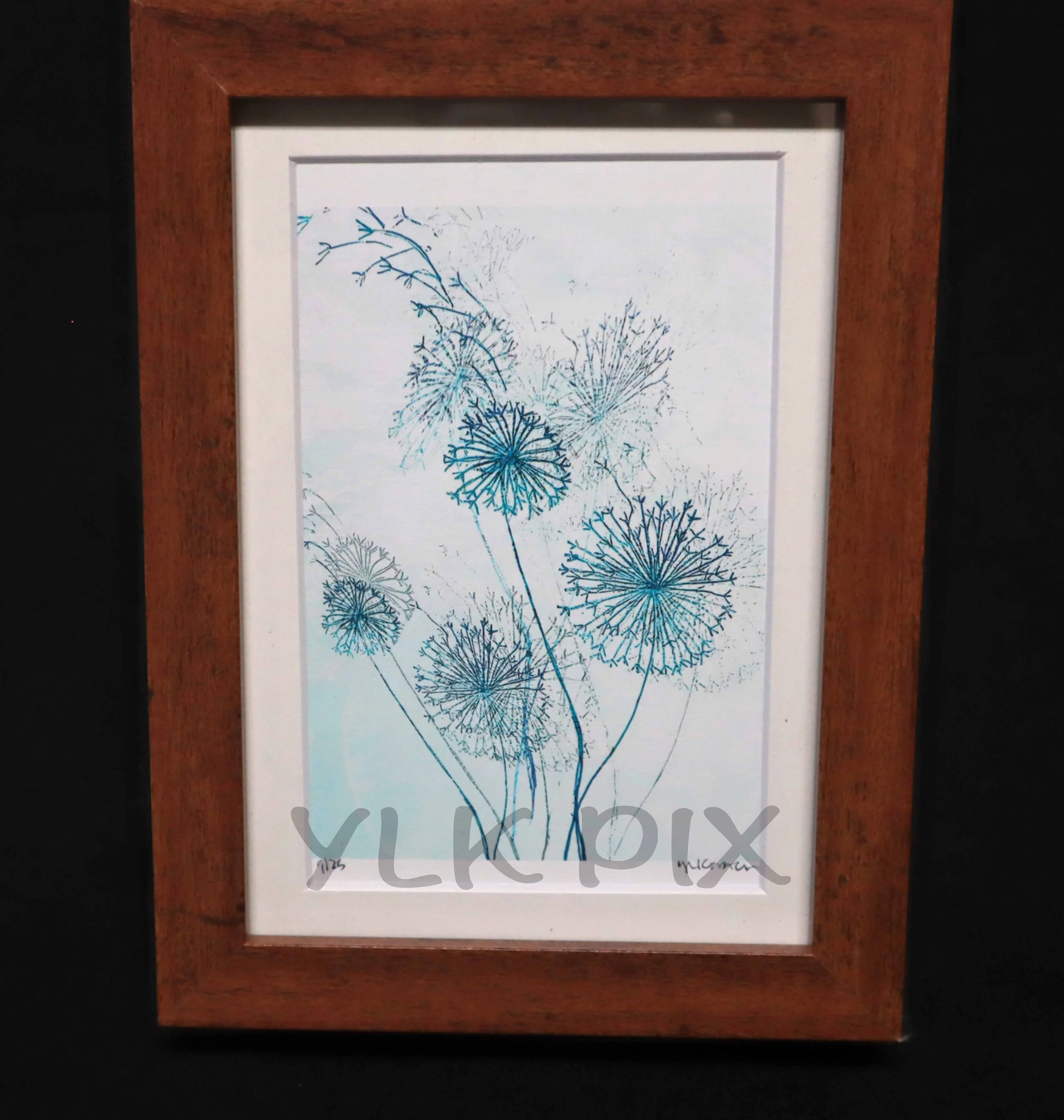 5 X 7 Framed Pictures