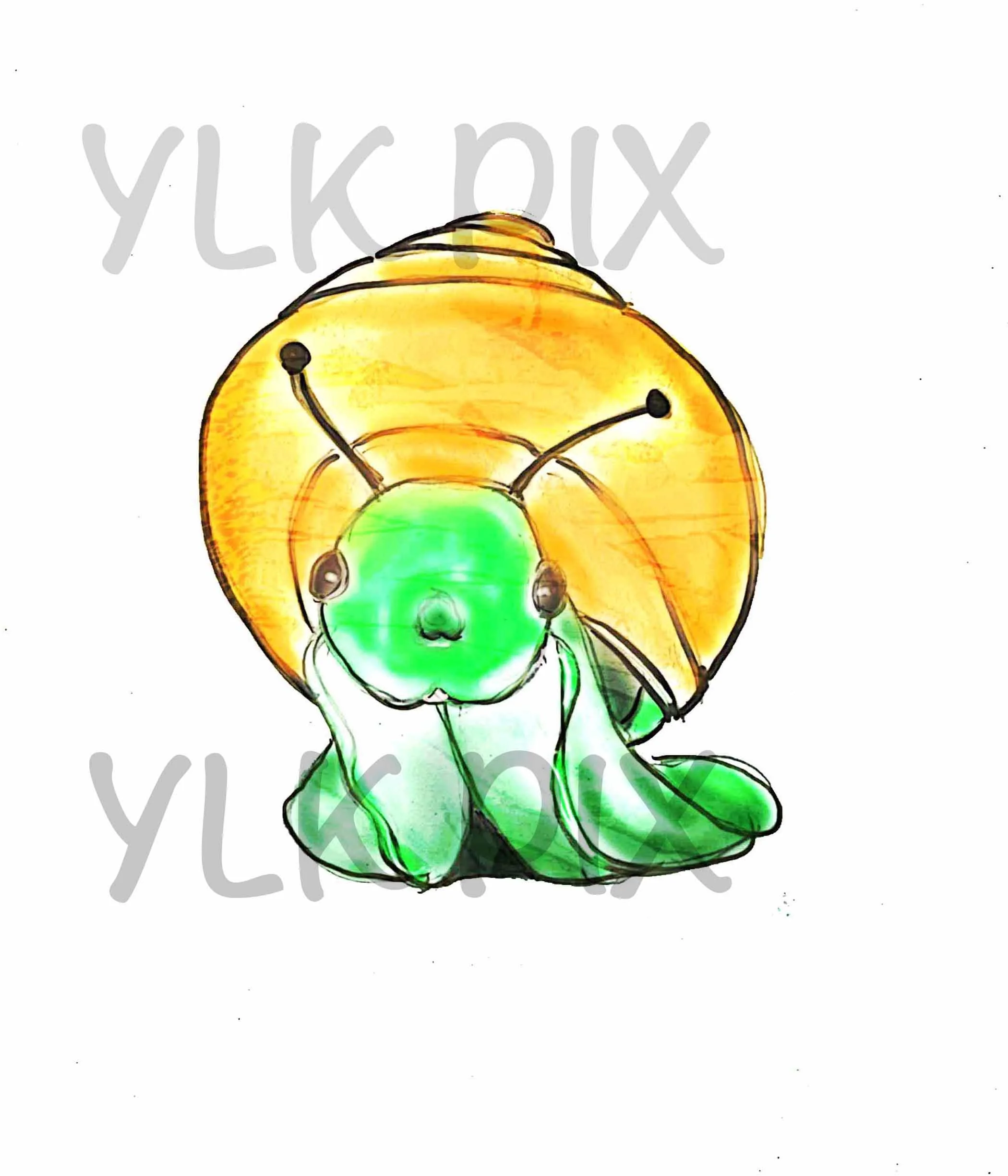 snaillookingwm.jpg