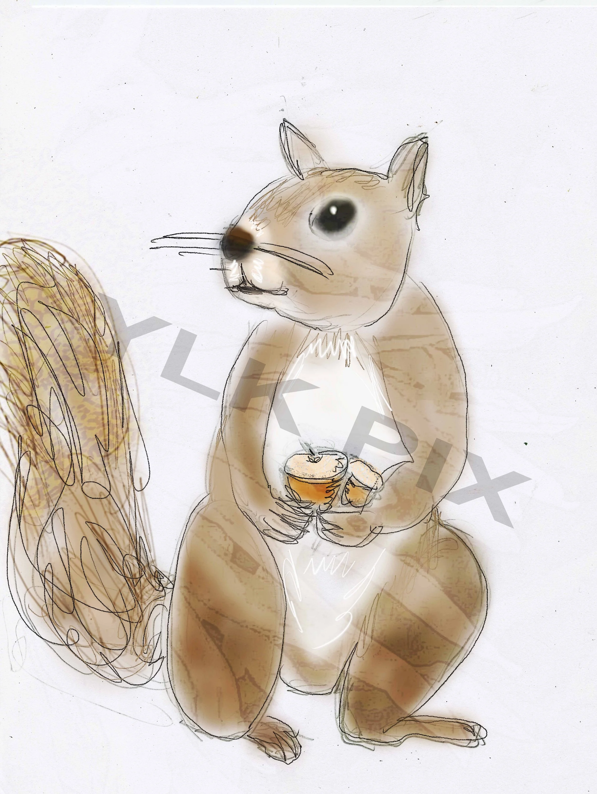squirrellwithacornwm.jpg