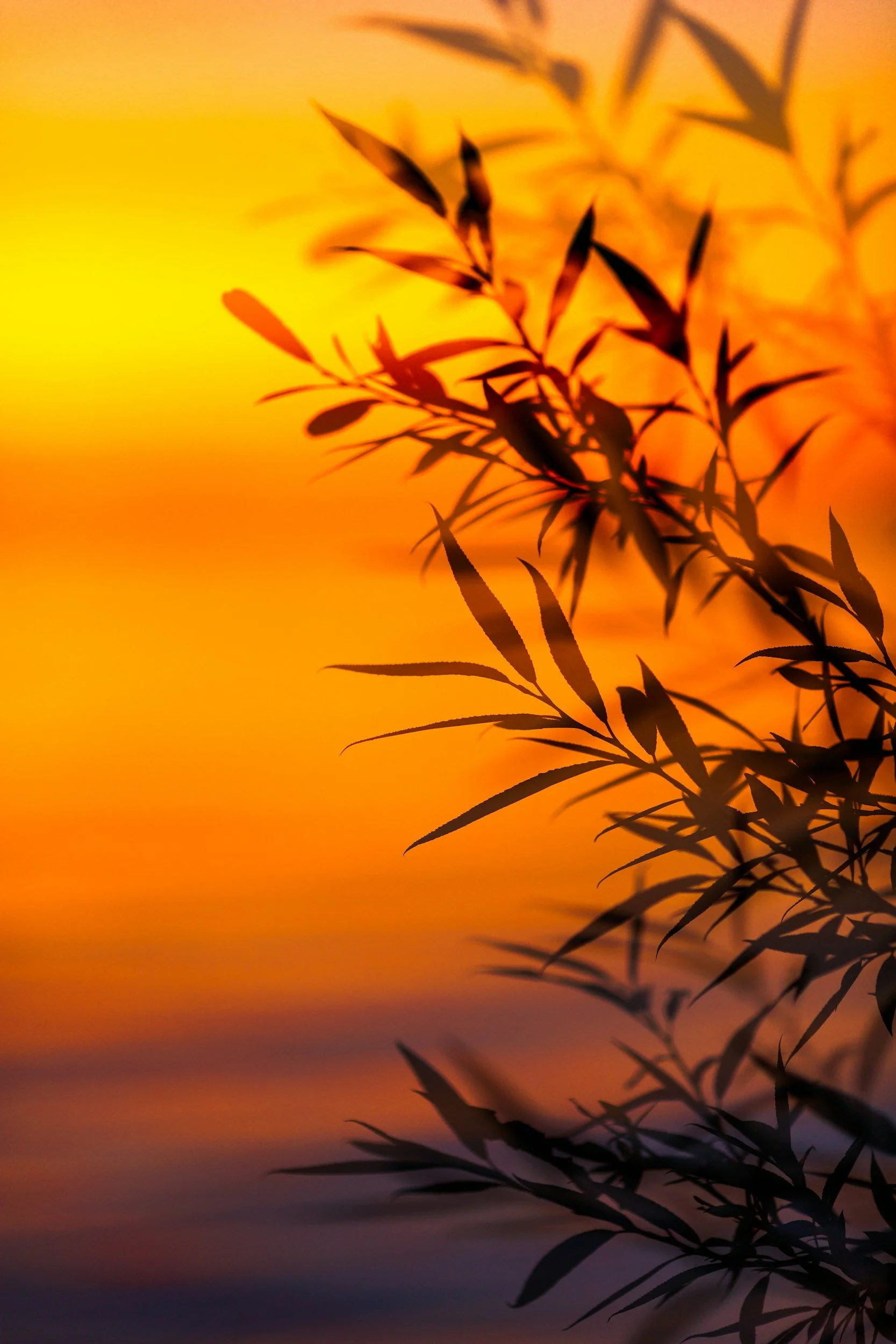 Worthiness, Creativity, and Fertility: A Balance in Energy