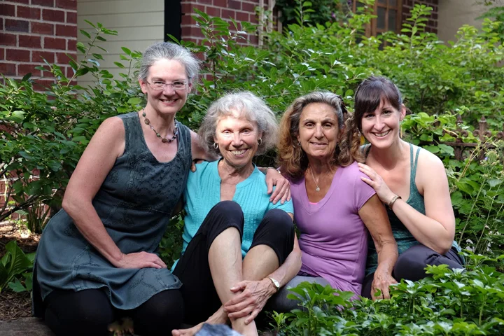 Viniyogis RGYS July 2015-rev.jpg