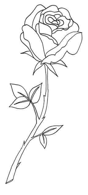 Screen Shot 2020-04-11 at 4.43.18 PM.png