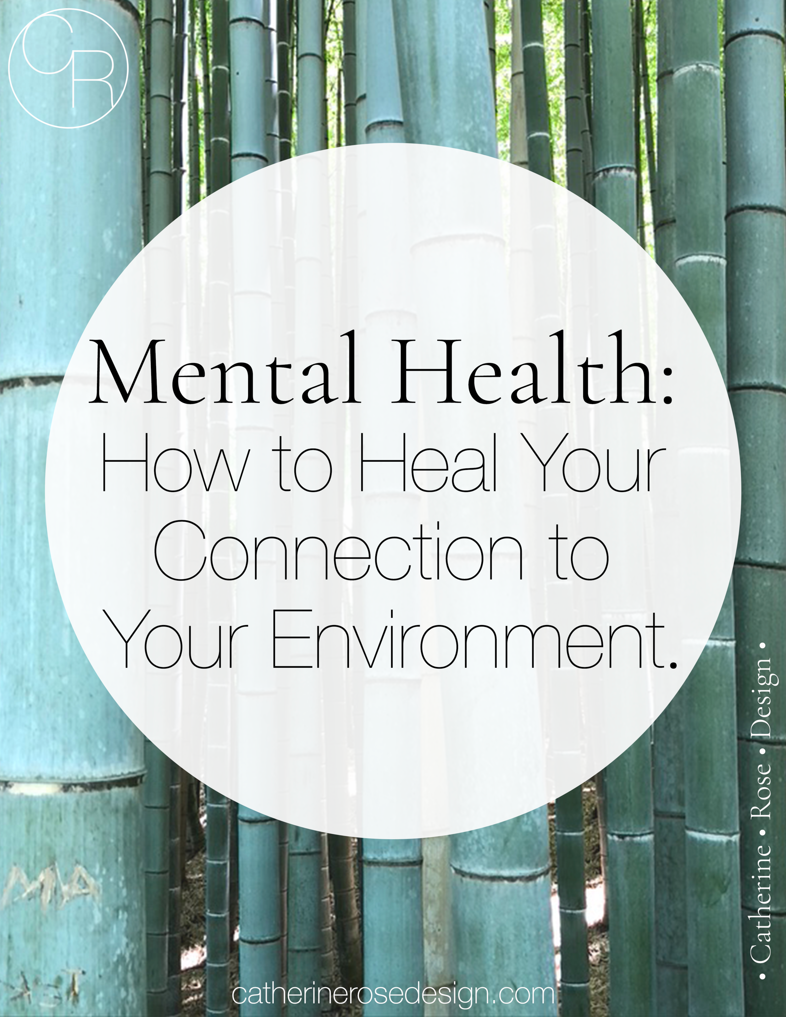 Mental Health: How to Heal Your Connection to Your Environment.