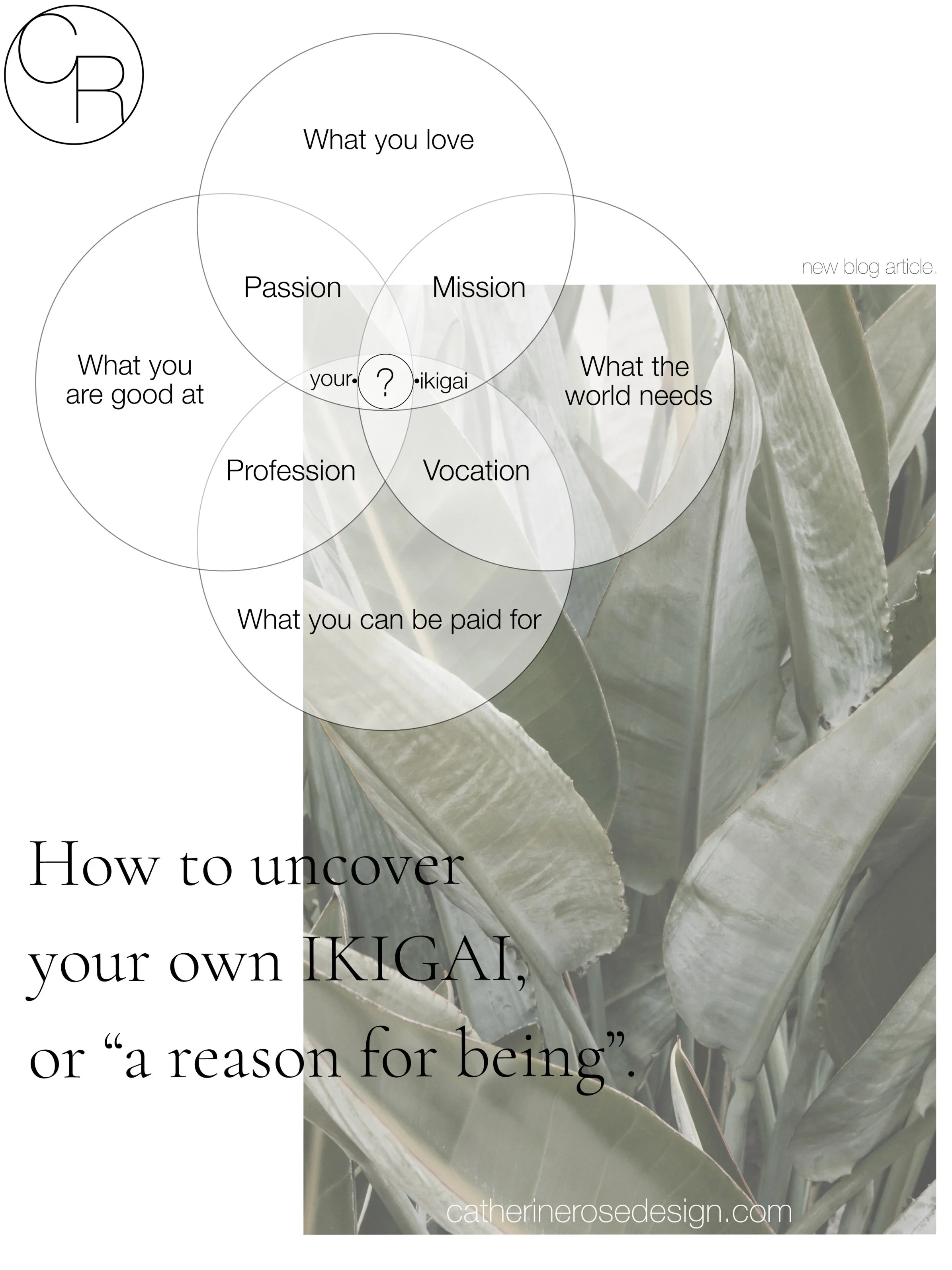 How to uncover your own IKIGAI, or “a reason for being”.