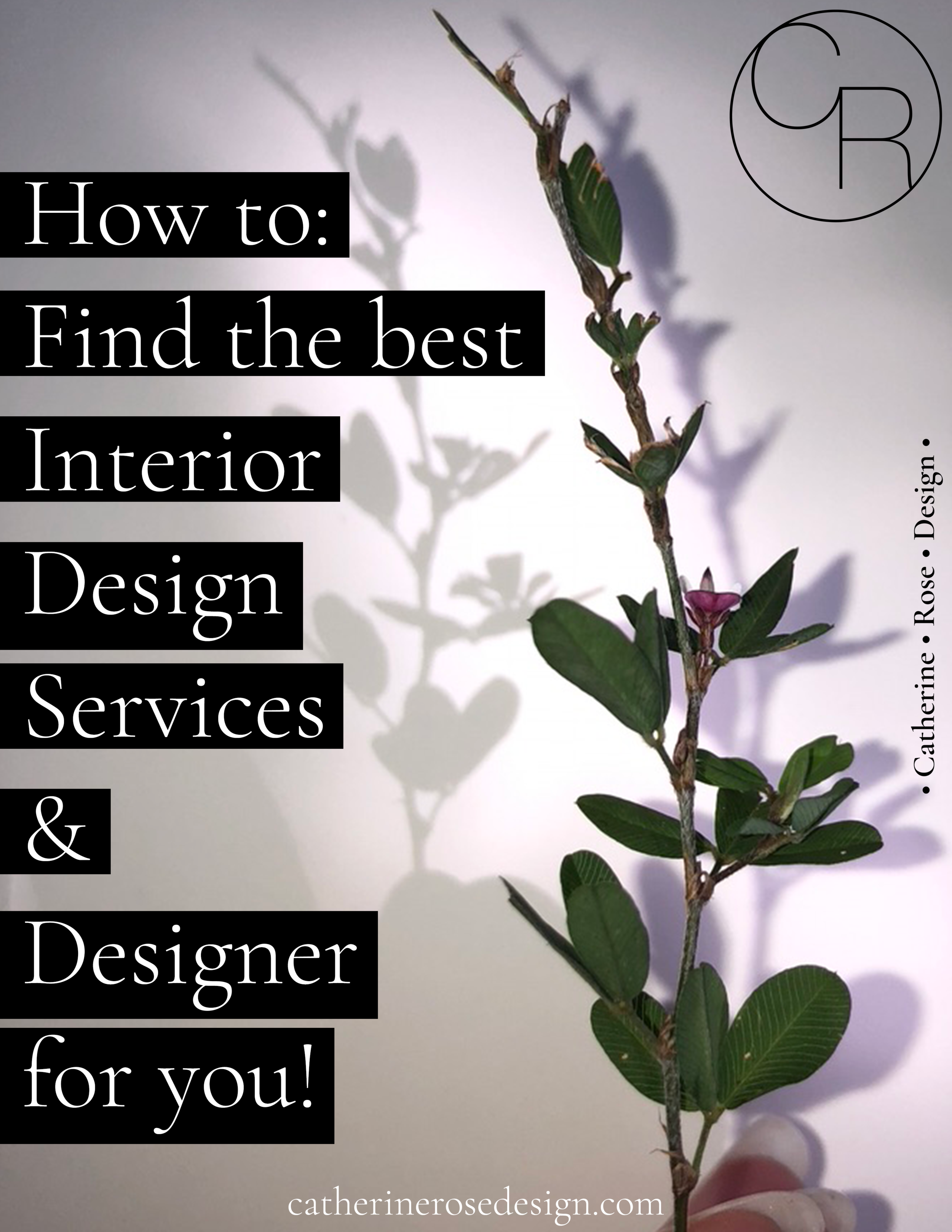 How to find the best designer and interior design services for you.