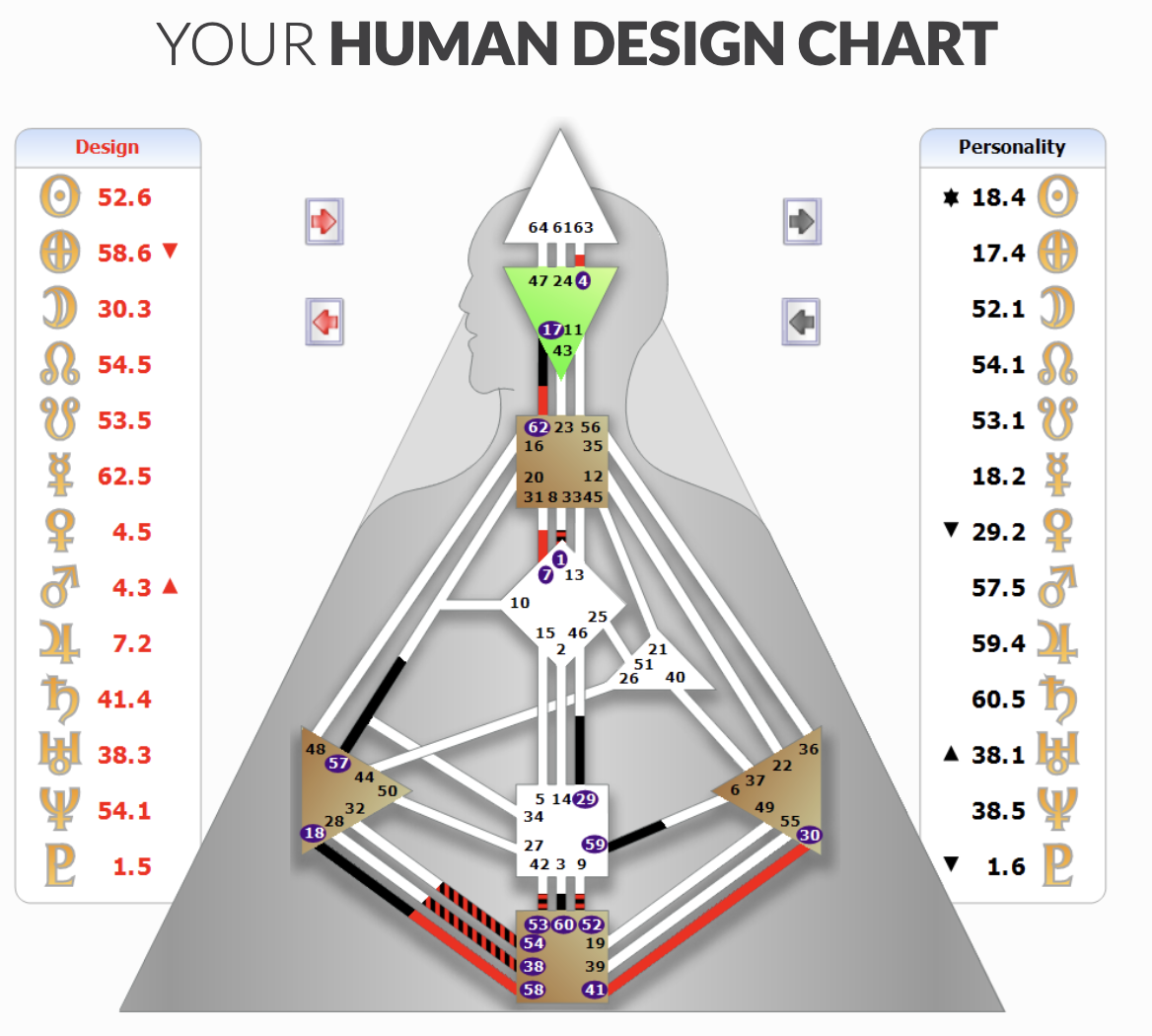 Хьюмен систем. ХЬЮМАН дизайн. Хьюмен дизайн человека. Лица богов дизайн человека. Известные проекторы дизайн человека.