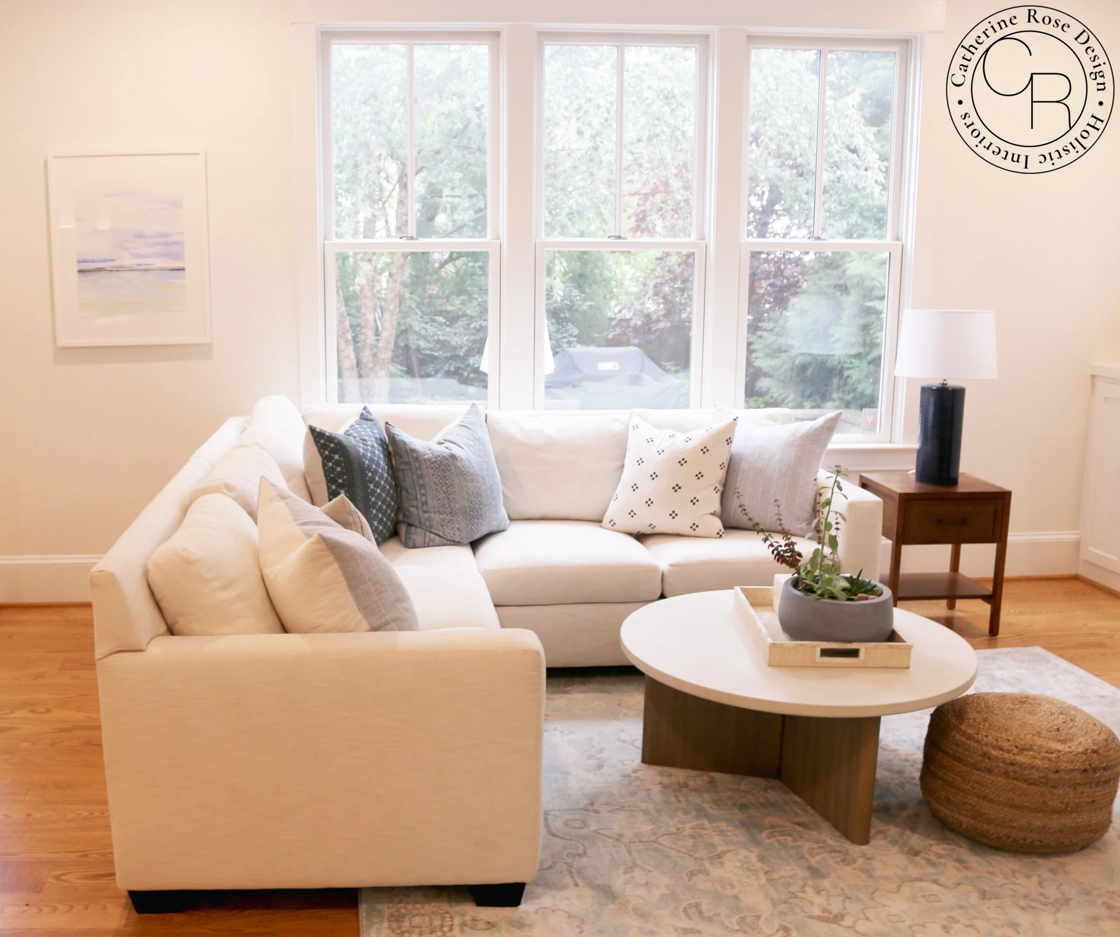 online interior design Arlington living room catherine rose design photo