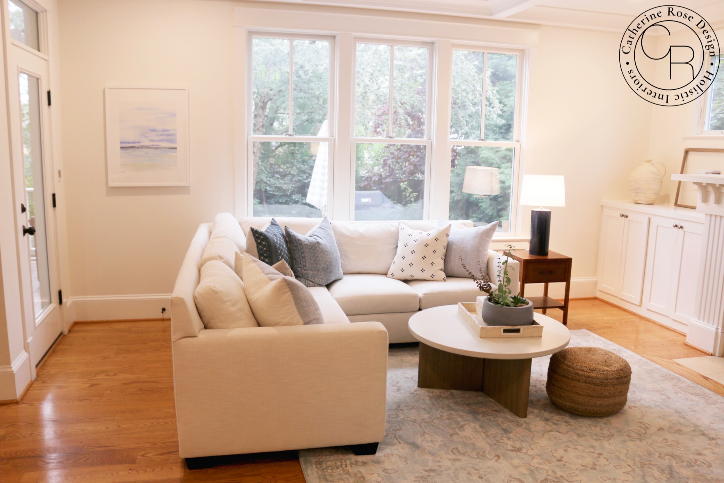 online interior design Arlington living room catherine rose design photo