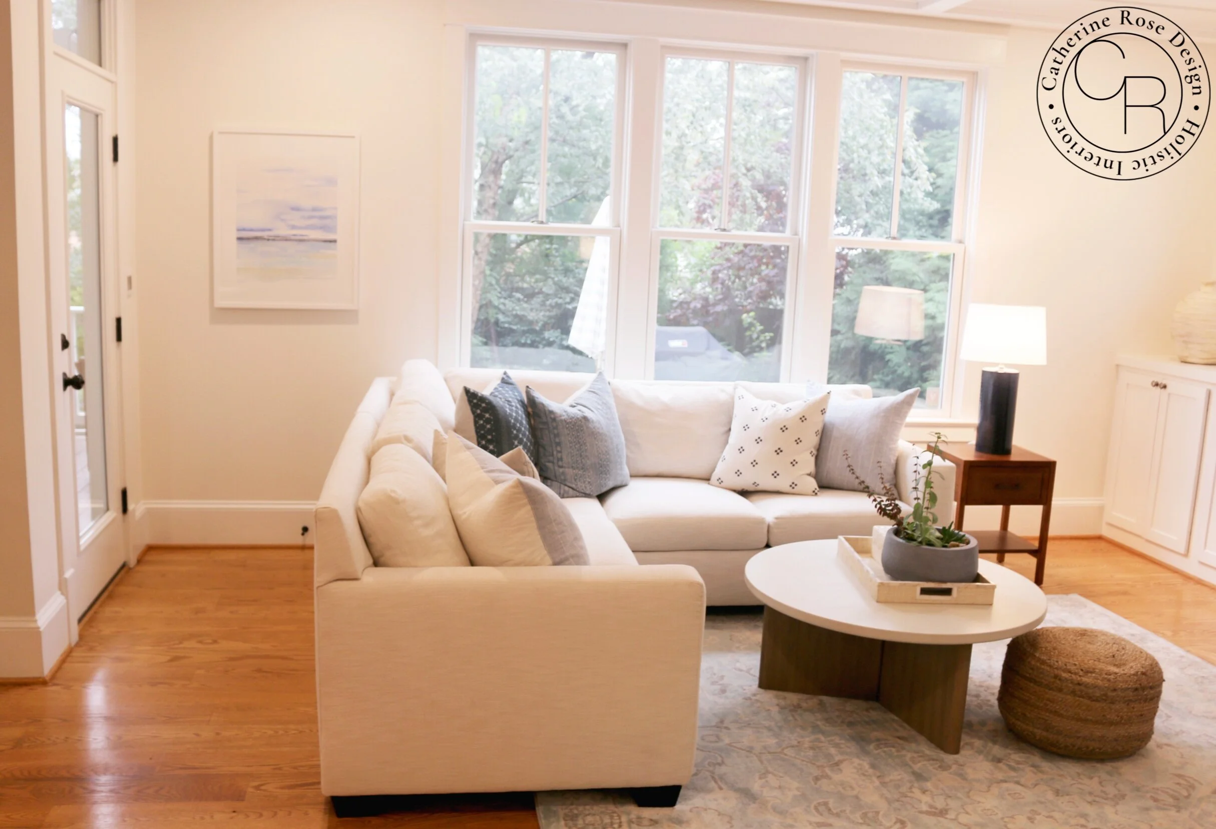 online interior design Arlington living room catherine rose design photo