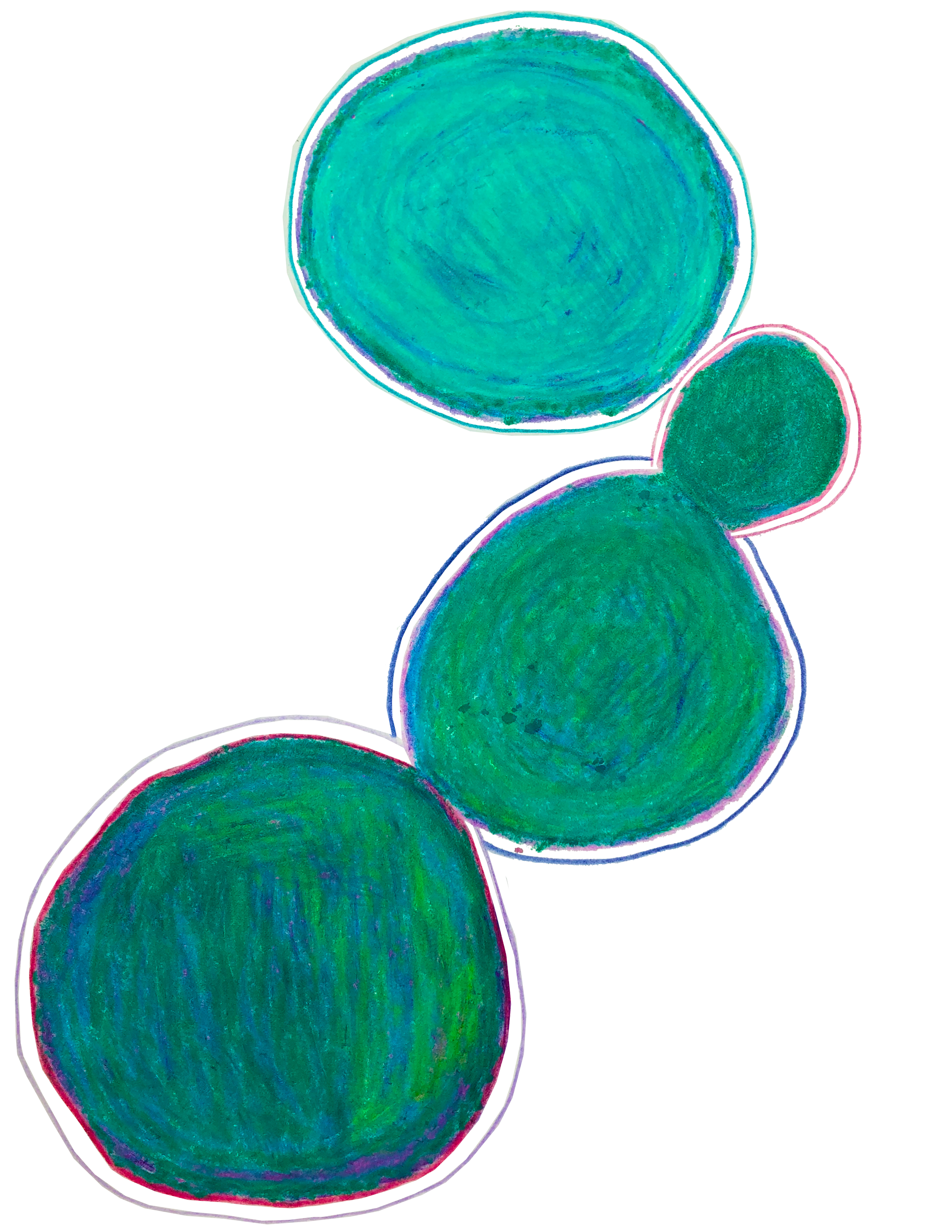 bubble print.png