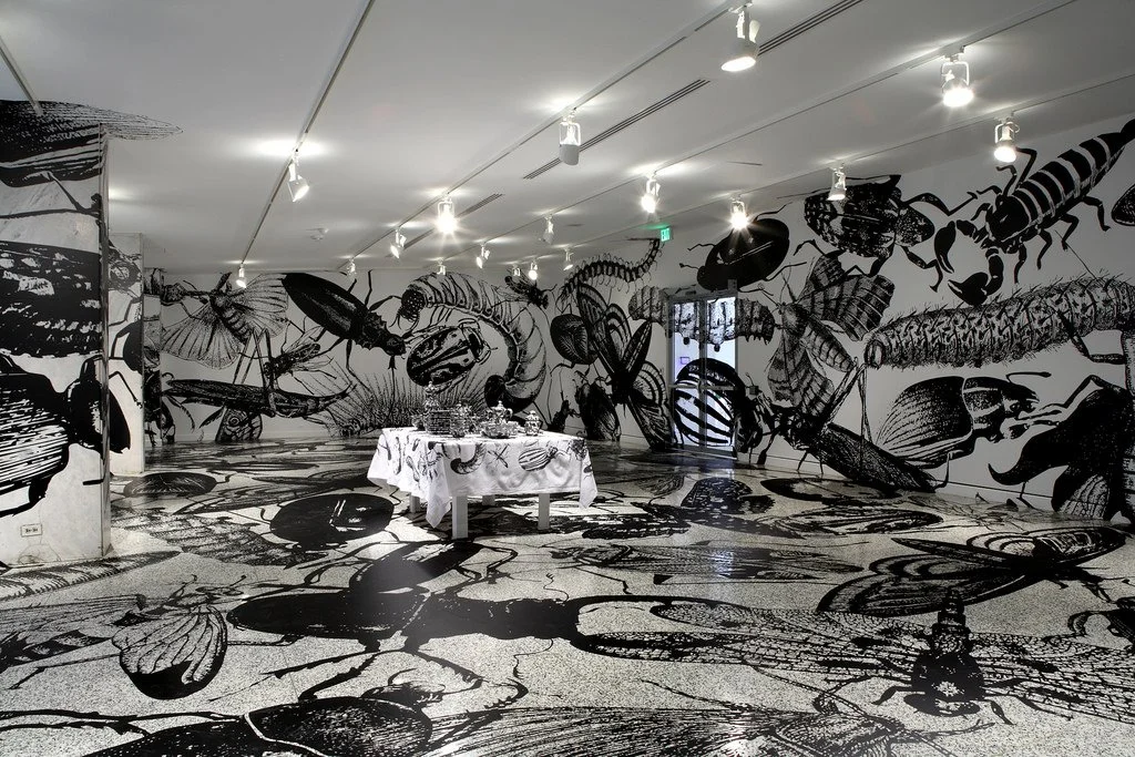 02. installation Regina Silveira.jpg