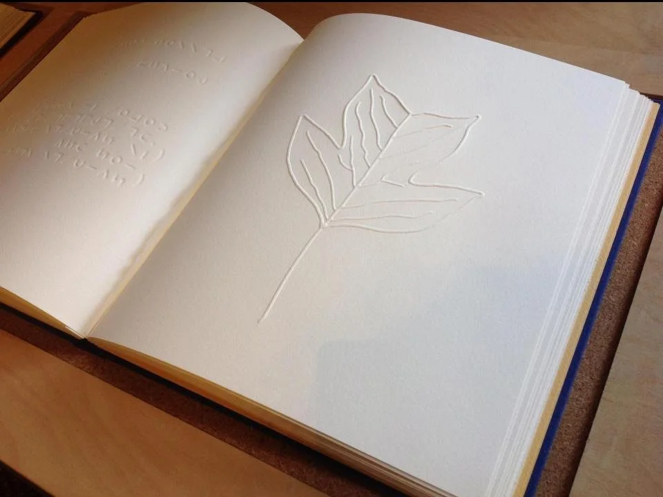 Leaf page in moon book.jpg