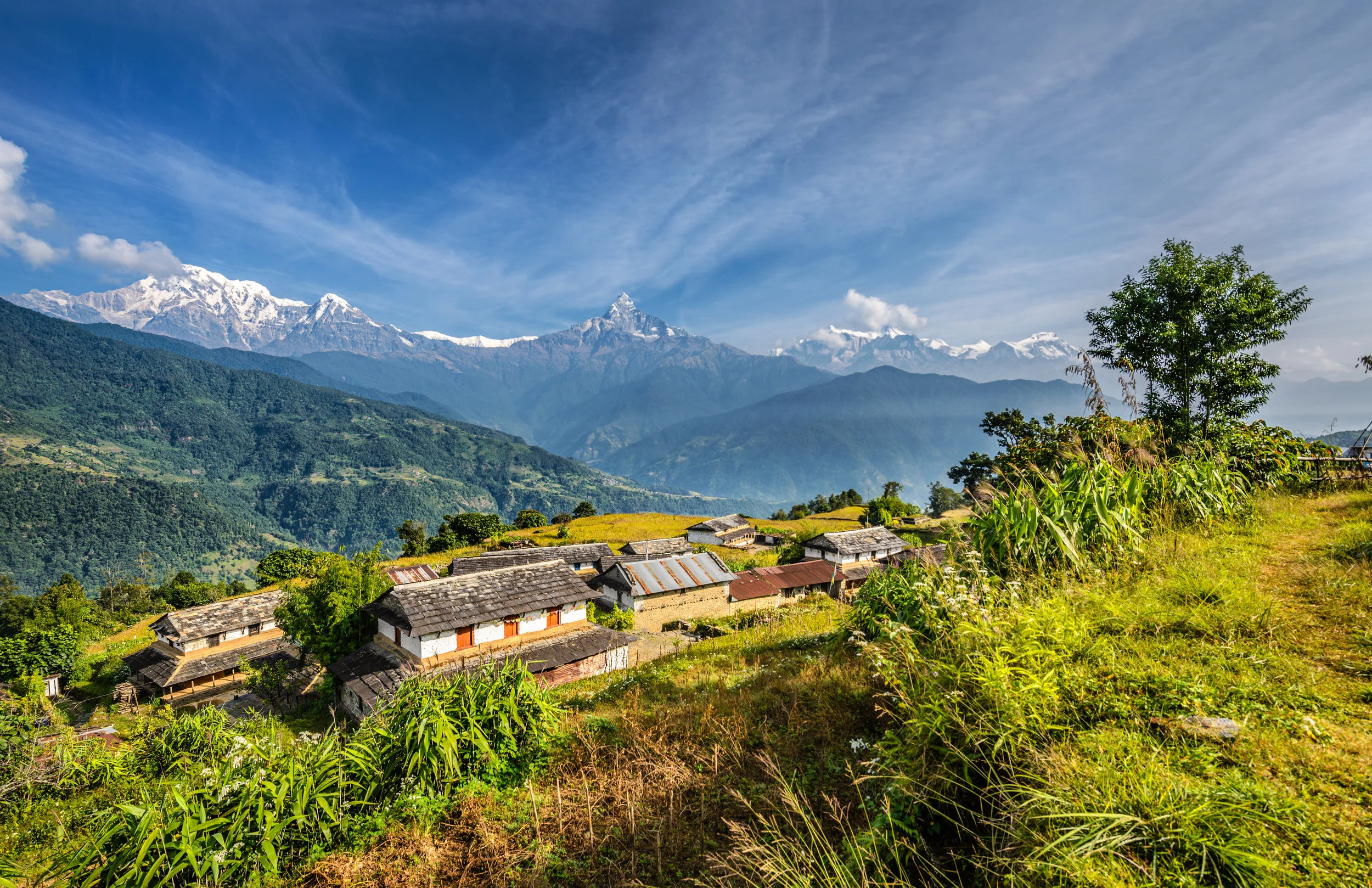 AdobeStock_100118626.jpeg