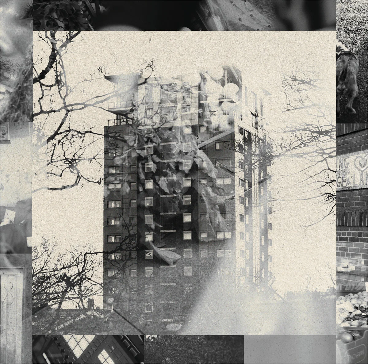 LISTEN: MOON 'SOUTHSIDE PARK' EP