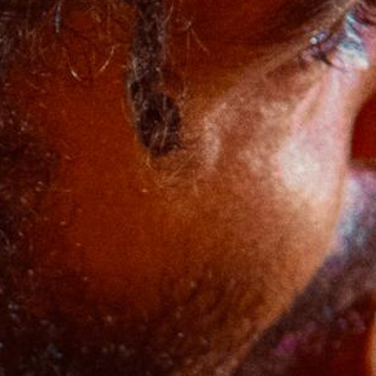 LISTEN: MOON 'MORE THAN THE PHYSICAL' 