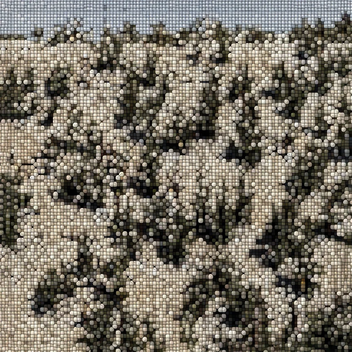 LISTEN: GREGORY UHLMANN 'EXTRA STARS' [RELEASES 06.03.26]