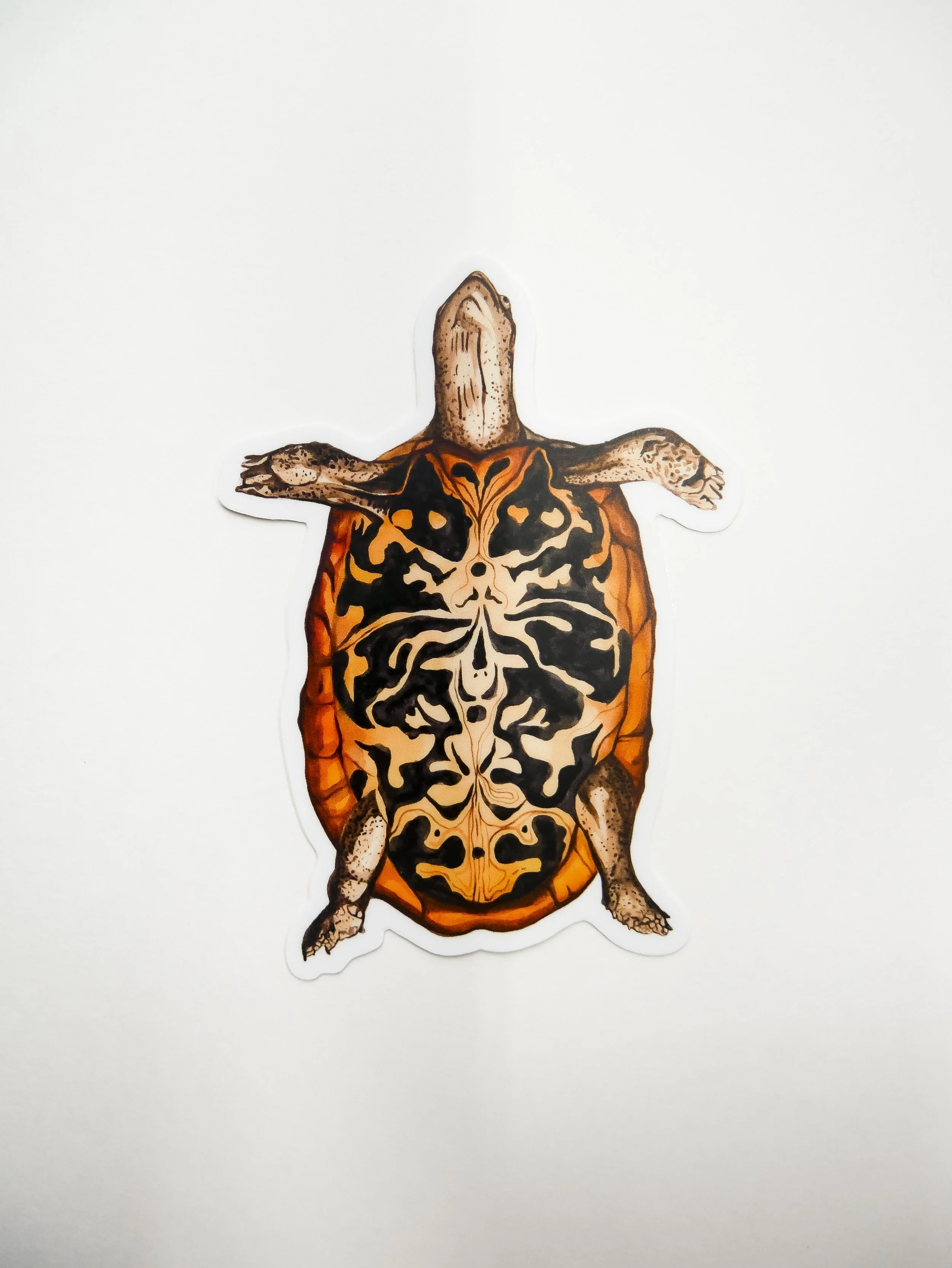Turtle Stickers 2.jpg