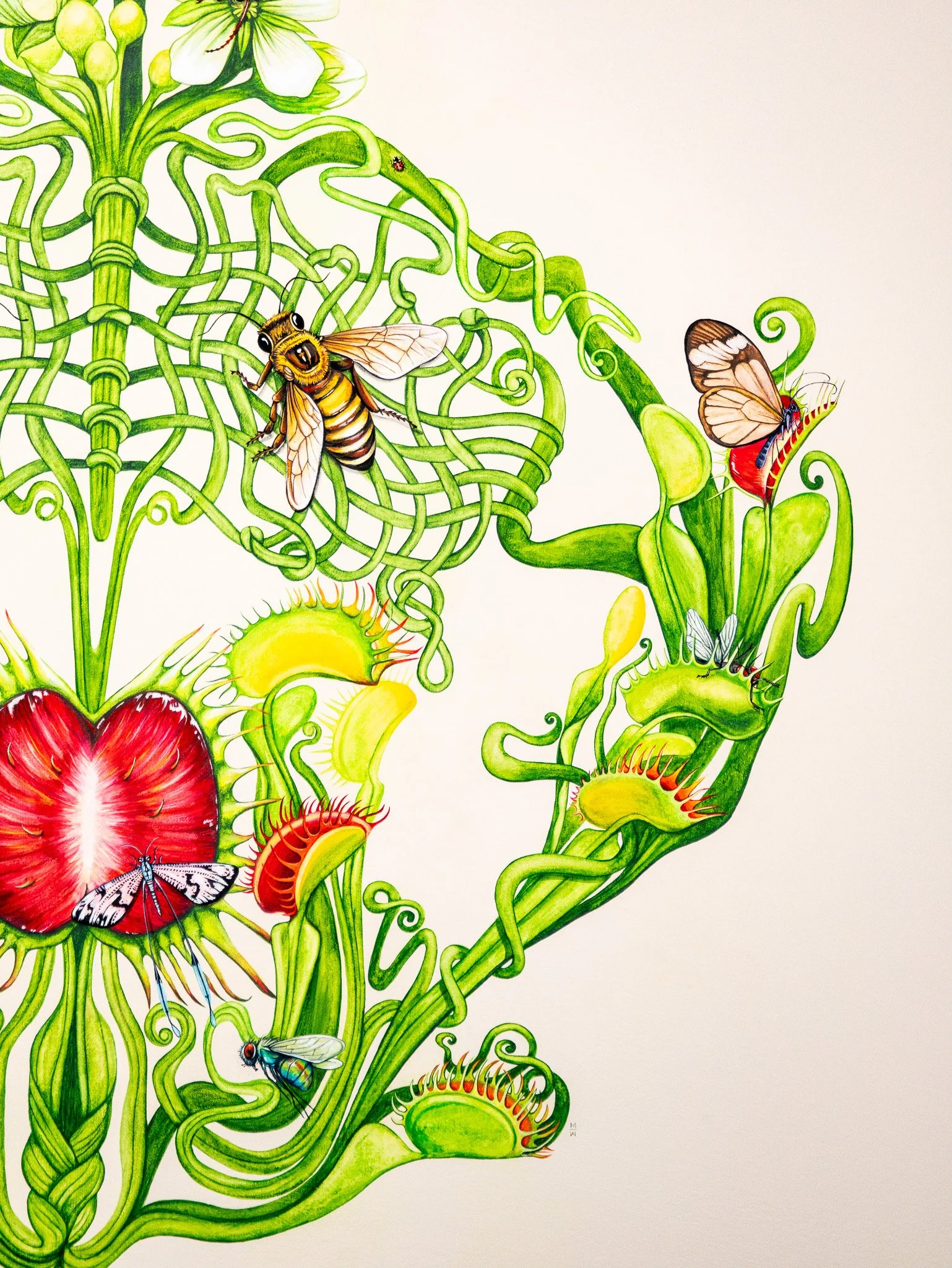 "Her Biggest Fear Is Biodegrading"