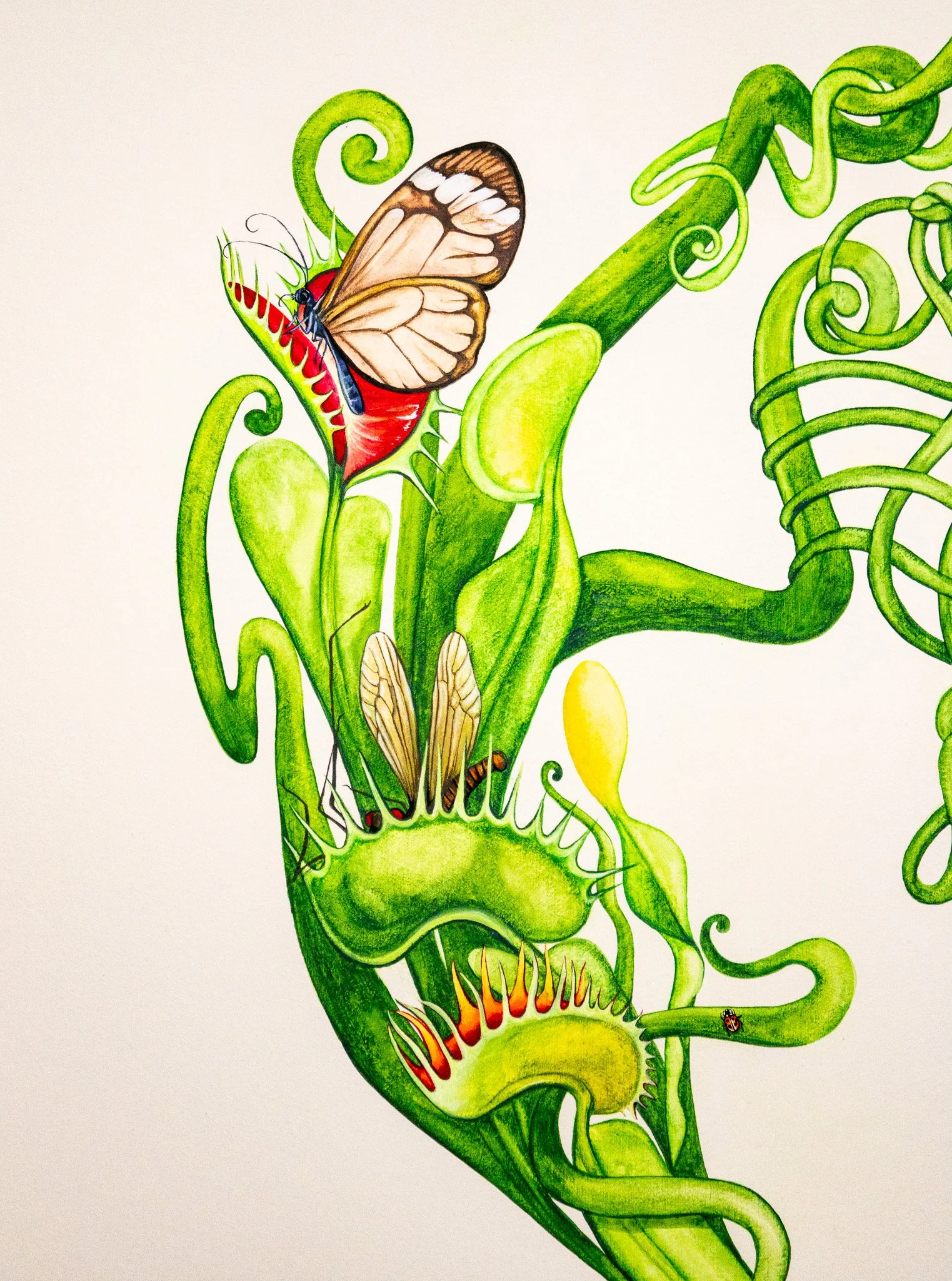 "Her Biggest Fear Is Biodegrading"