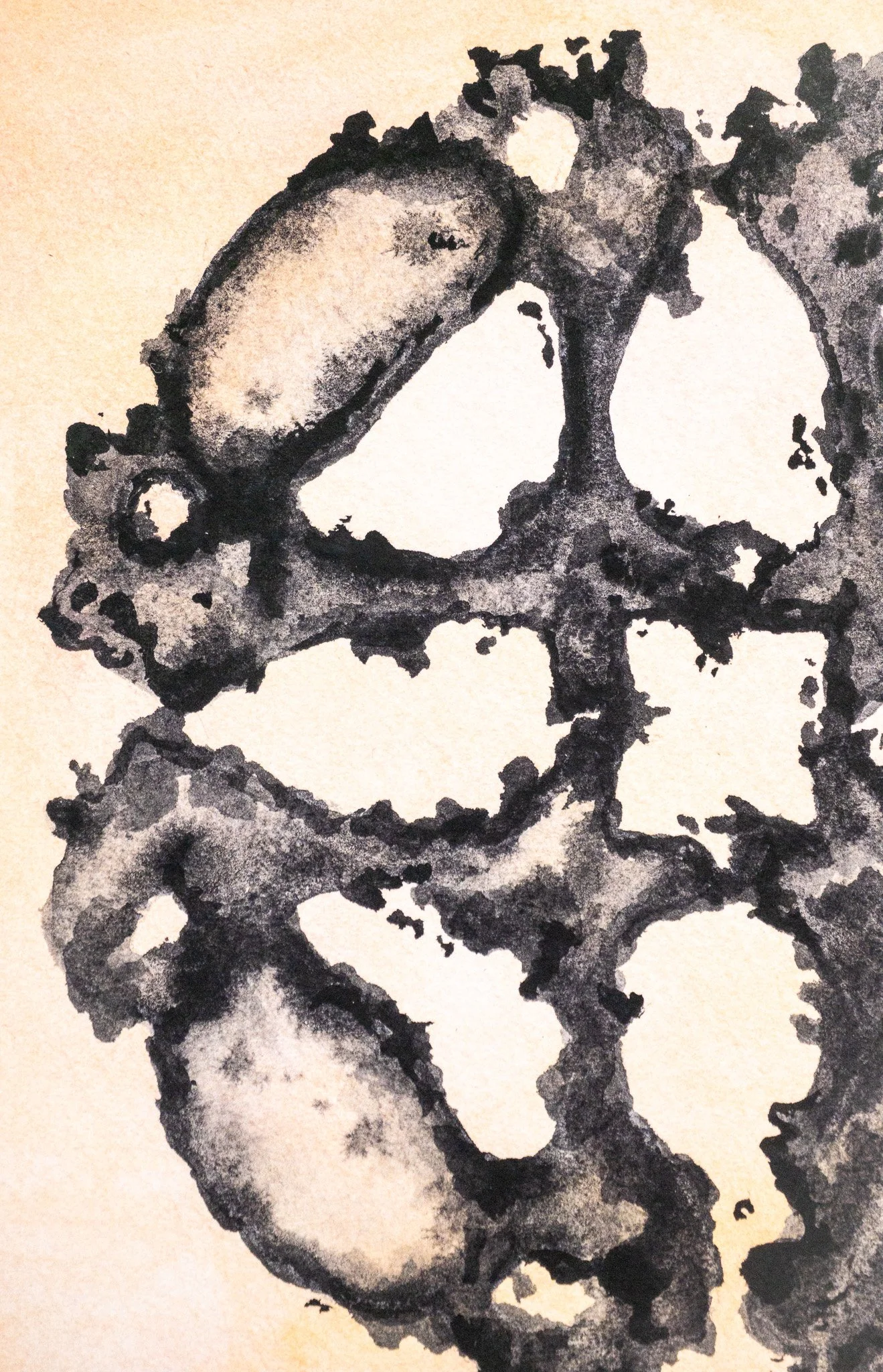 "Spinal Fluid 3/3"