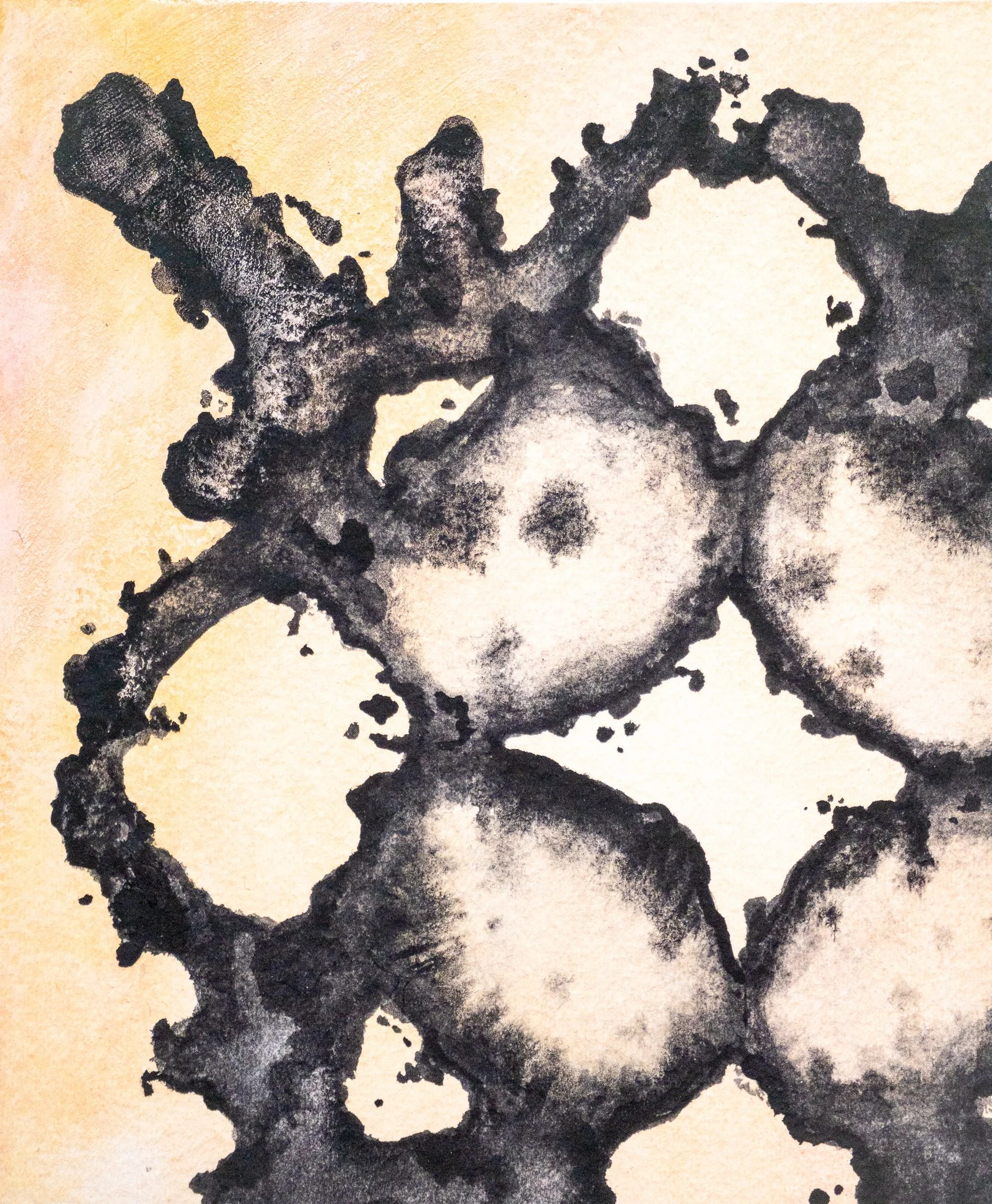 "Spinal Fluid 1/3"