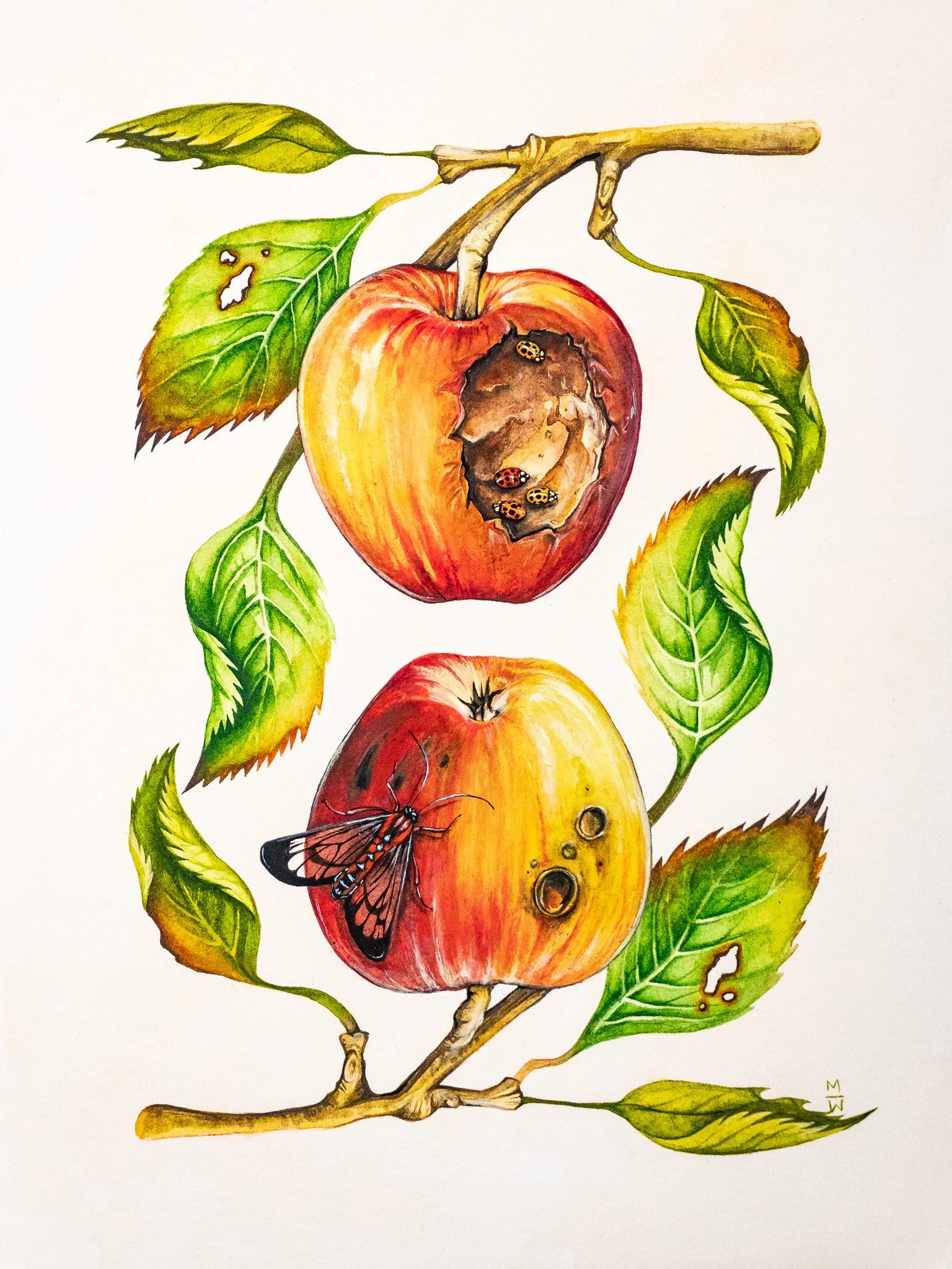 "Molly, I Just Can’t Stop Thinking About Your Microbiome" 