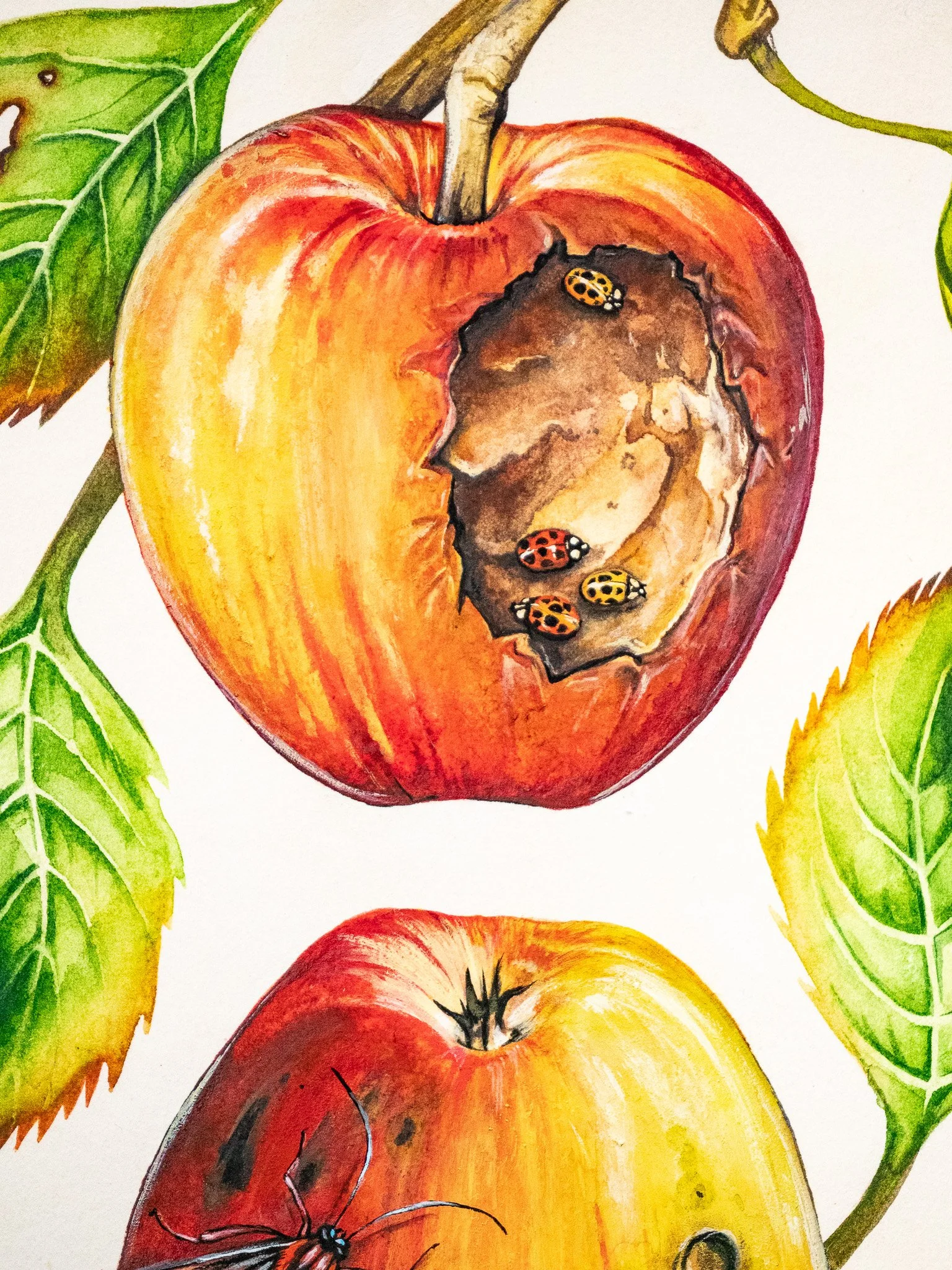 "Molly, I Just Can’t Stop Thinking About Your Microbiome"