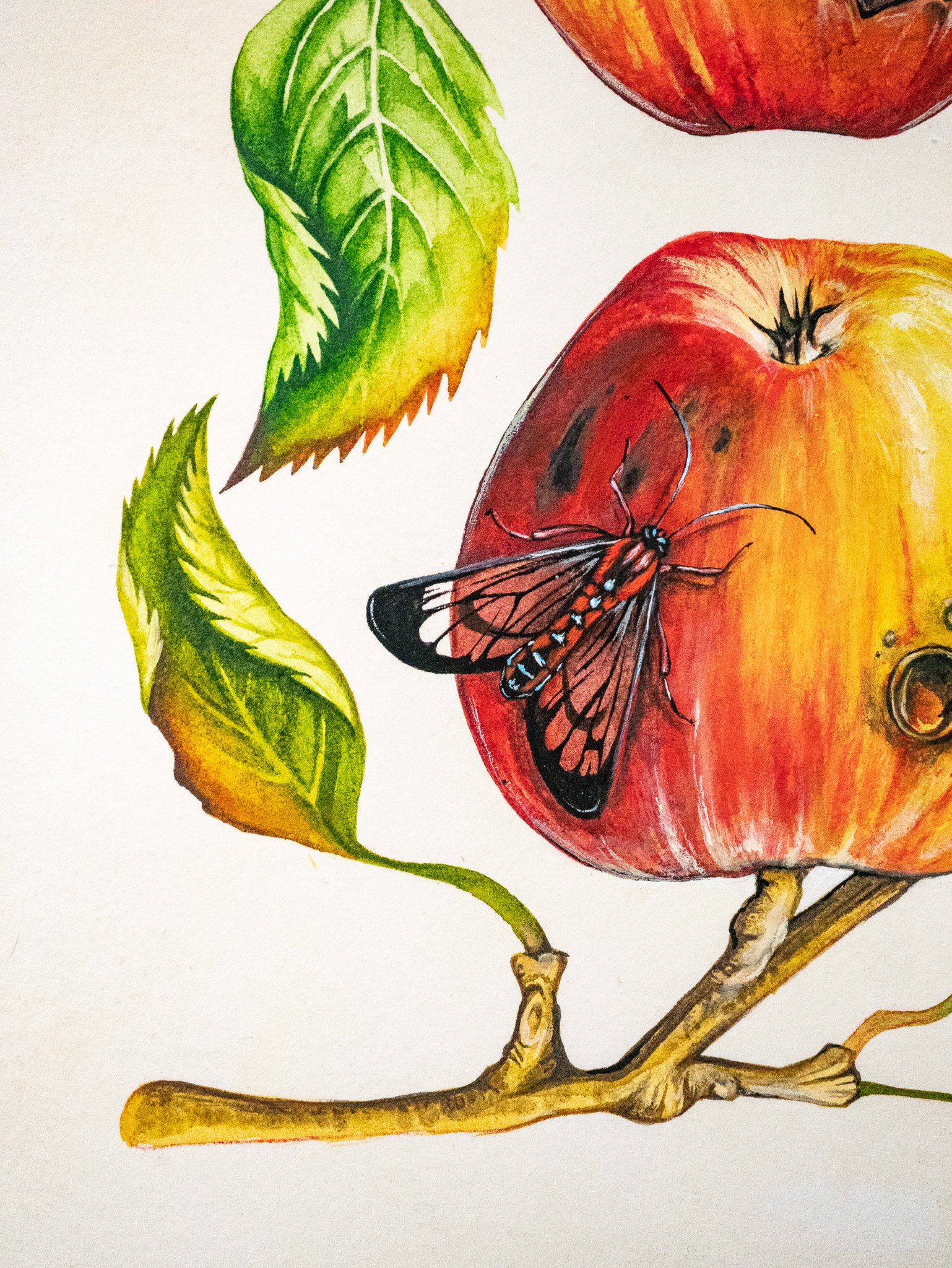 "Molly, I Just Can’t Stop Thinking About Your Microbiome" 