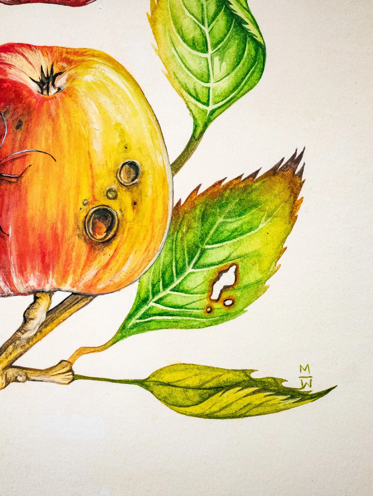 "Molly, I Just Can’t Stop Thinking About Your Microbiome"