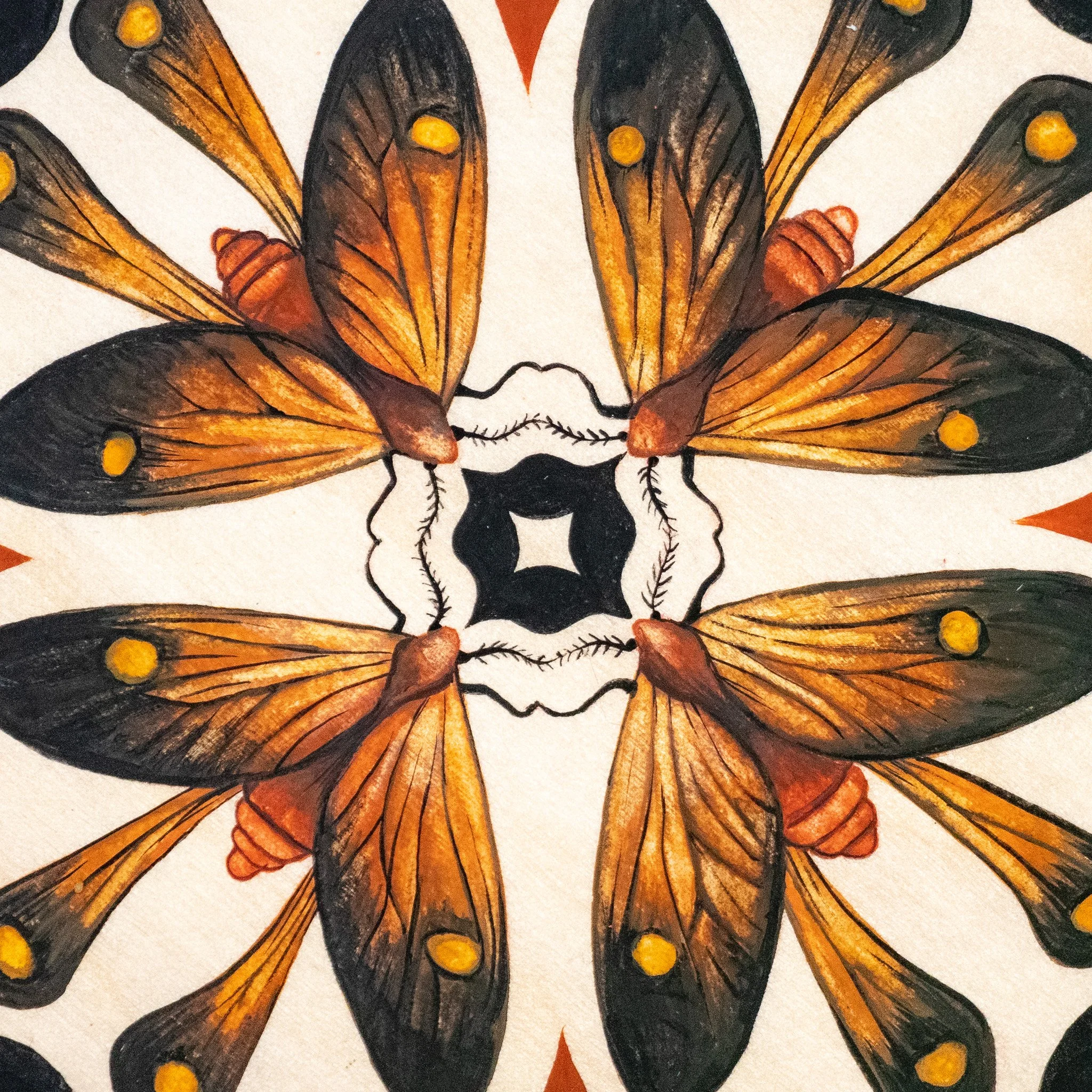 "They Call Them: Long-Tailed Burnet Moth" 