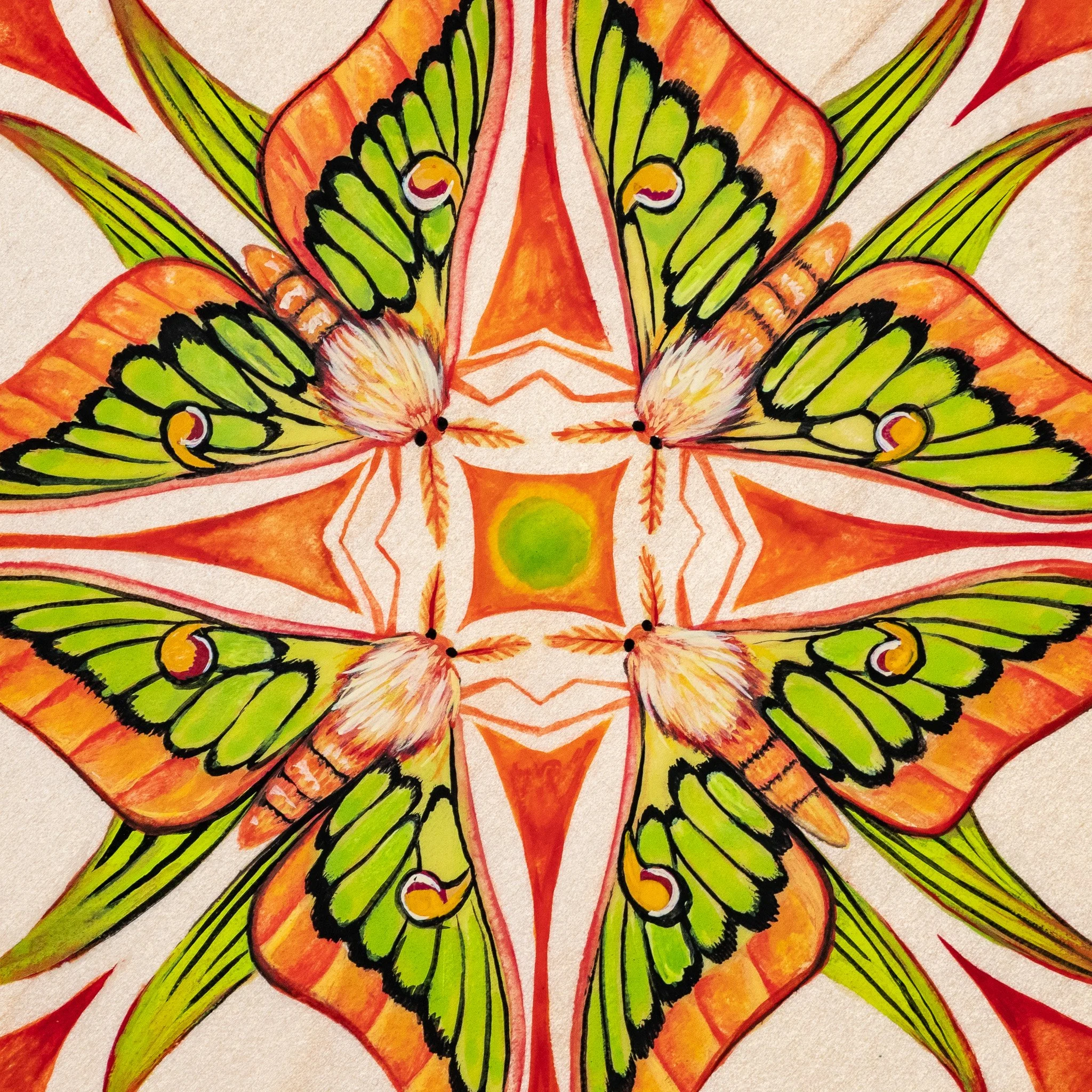 "They Call Them: Hybrid Moon Moth"