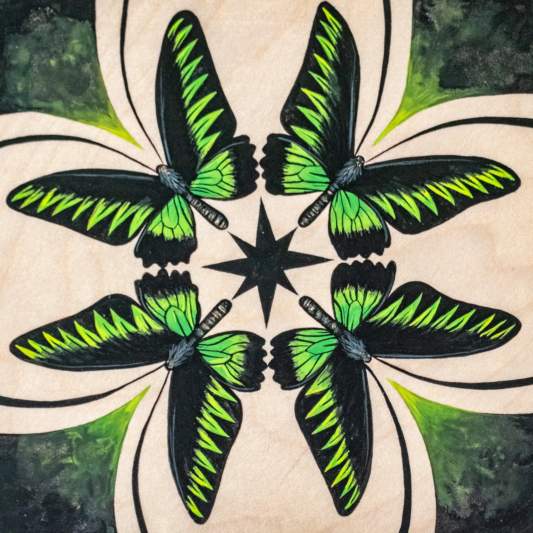 "They Call Them: Rajah Birdwing Butterfly"