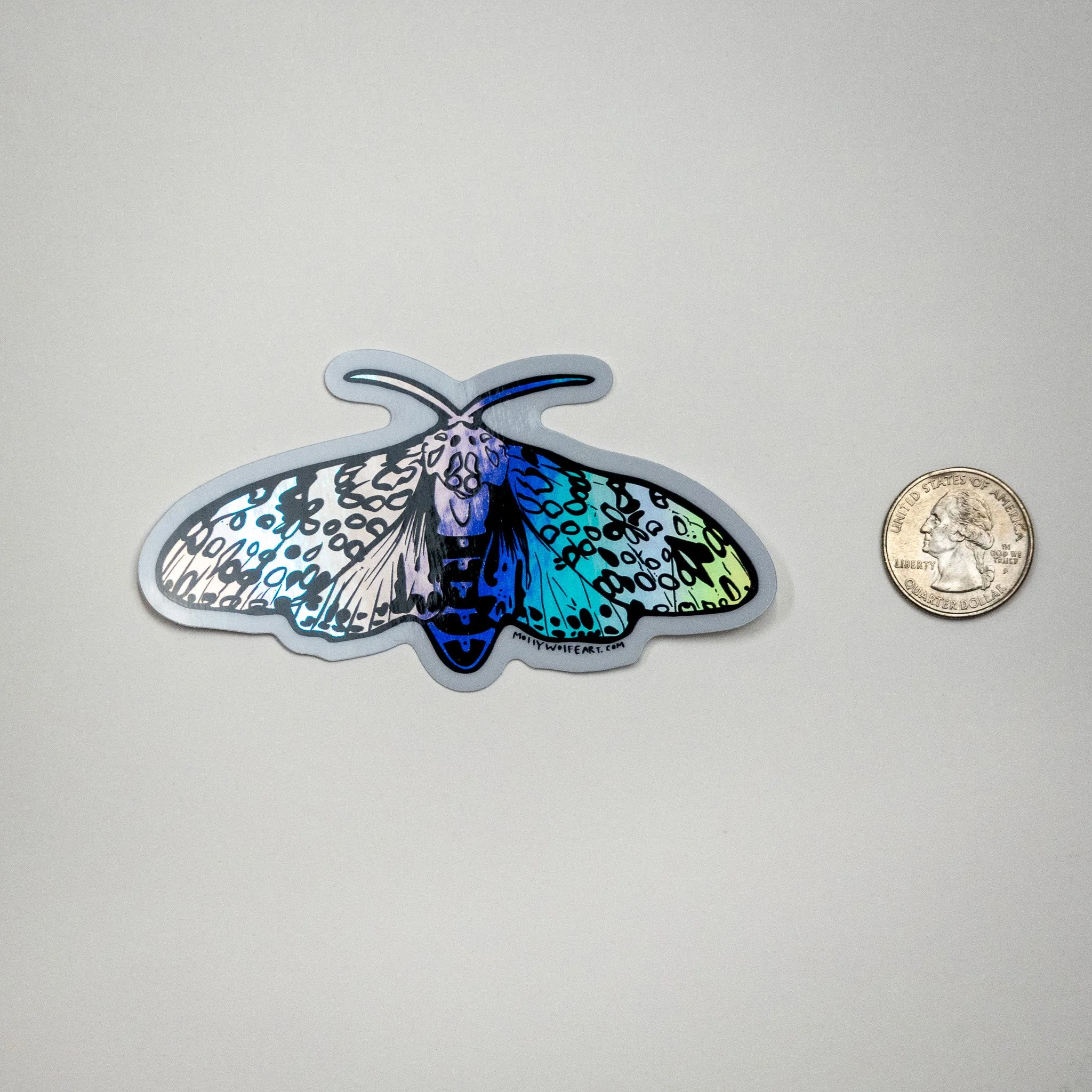 _1050545.jpg