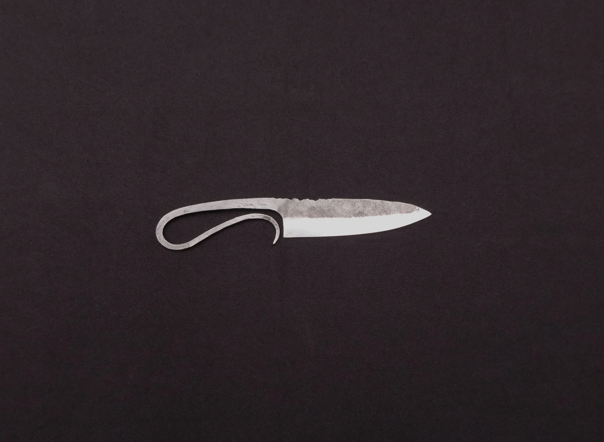 RatTail_2_2000px.jpg