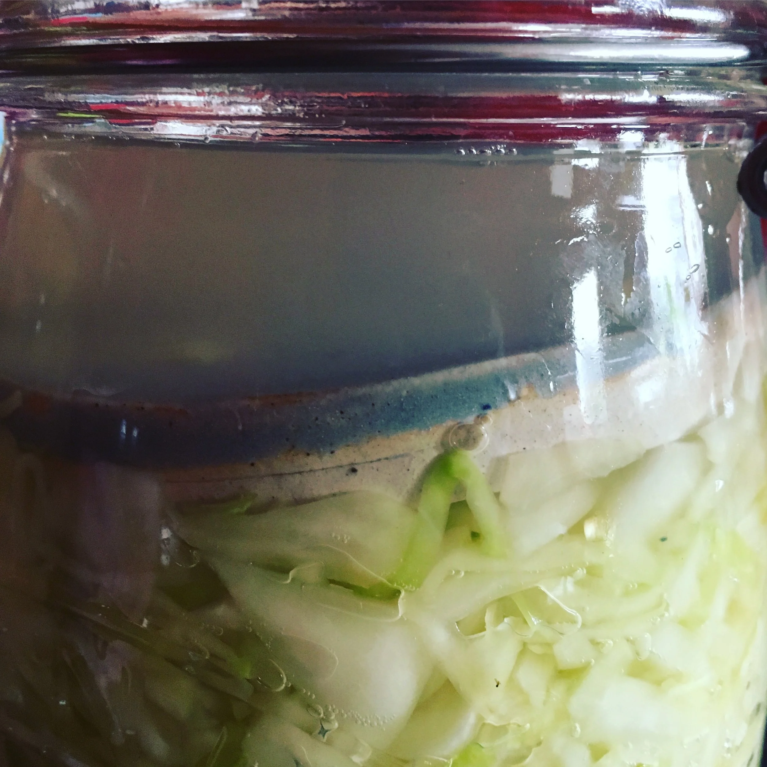 Lacto Fermentation Workshop