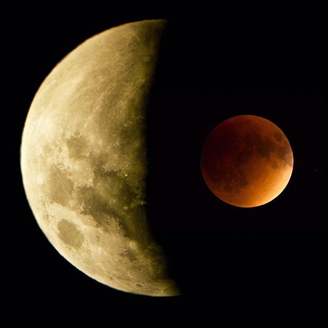 Total eclipses of Super Full Moons are rare. According to NASA, they have only occurred 5 times in the 1900s. #funfact #VisionHawk #JacksonHole15 #canon #RED @shotovercamera