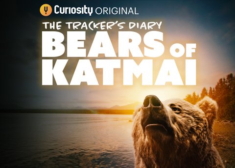 The Tracker's Diary:  Bears of Katmai